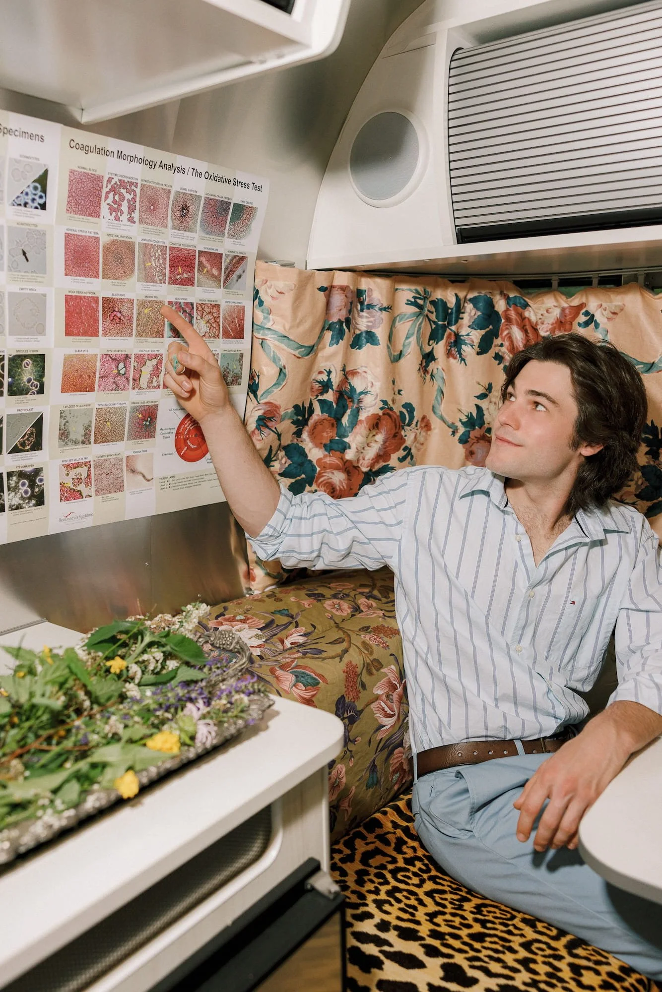 Image of young man looking at images of his live blood analysis