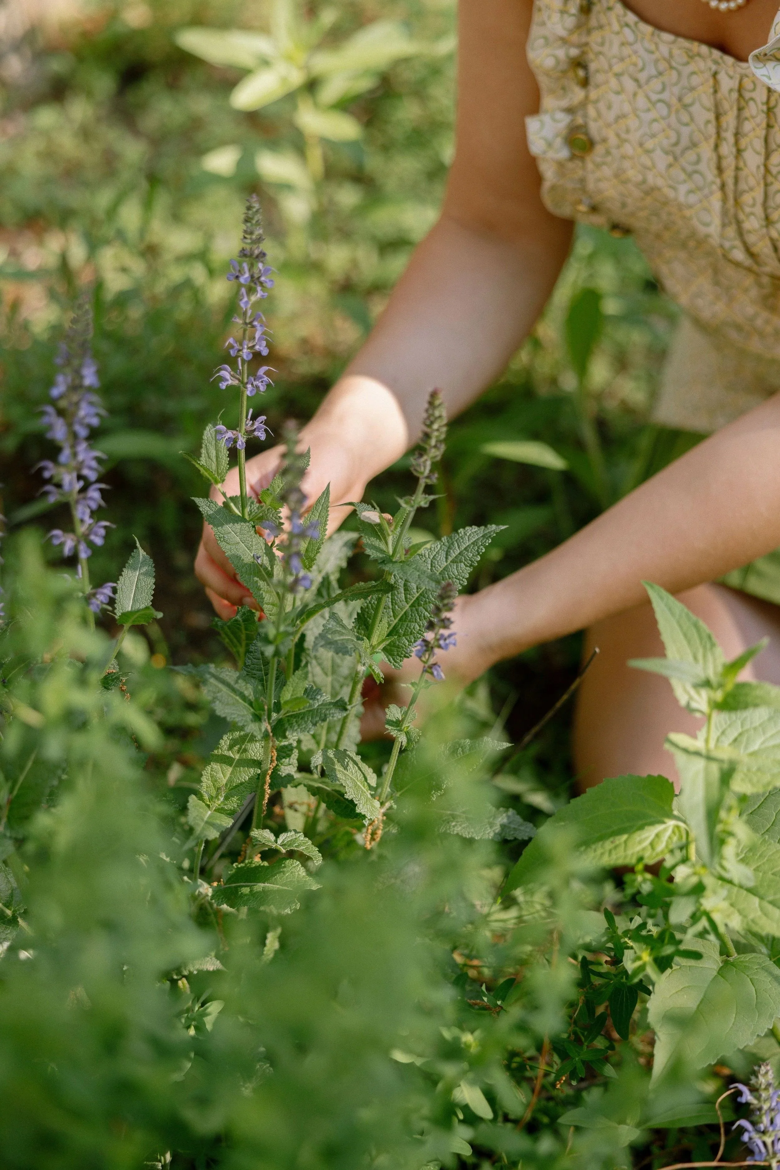 A child's arms and legs are visible, with the child crouching or kneeling among green foliage and purple flowers in a garden or outdoor setting.