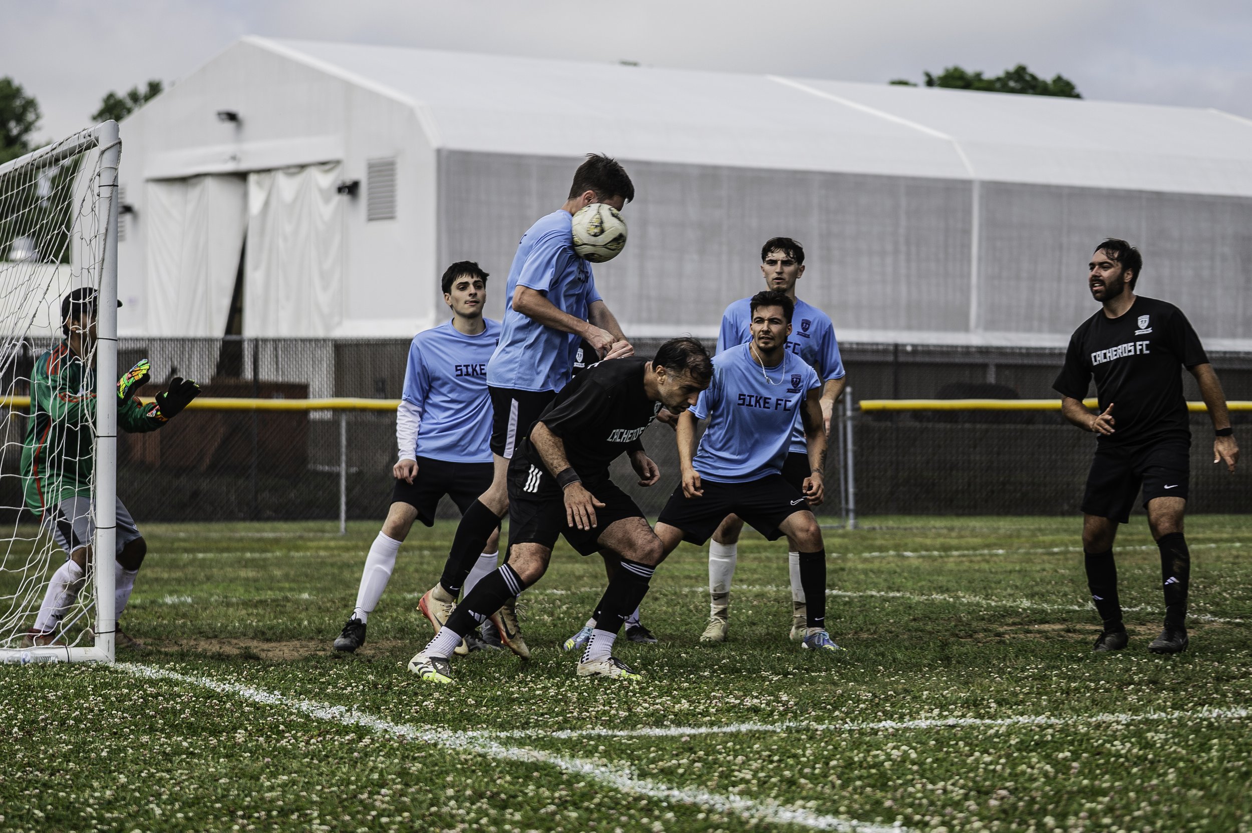 DSC_0660.jpg