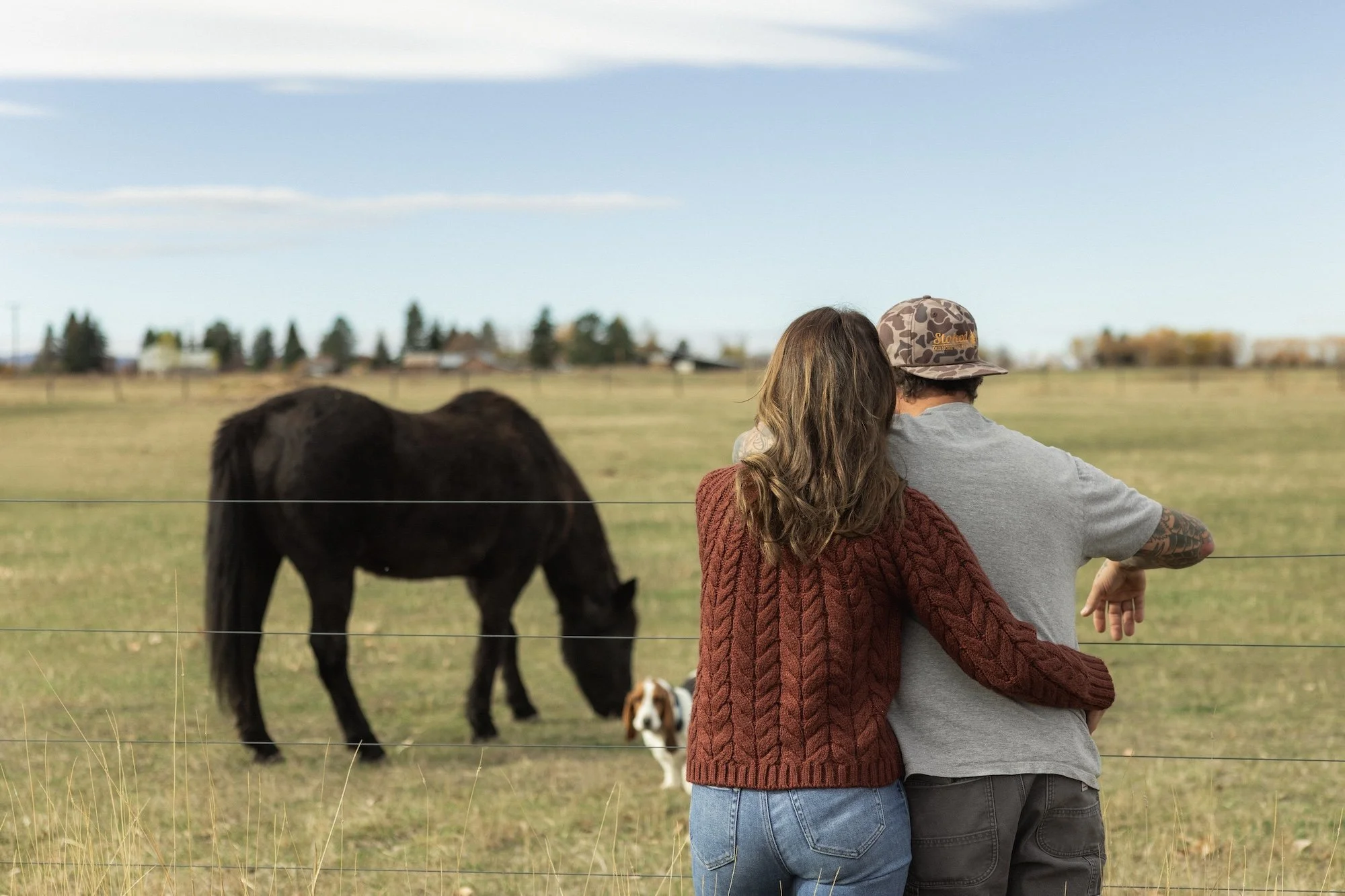 A couple stands close together at a fence watching a horse in a grassy field during daytime.