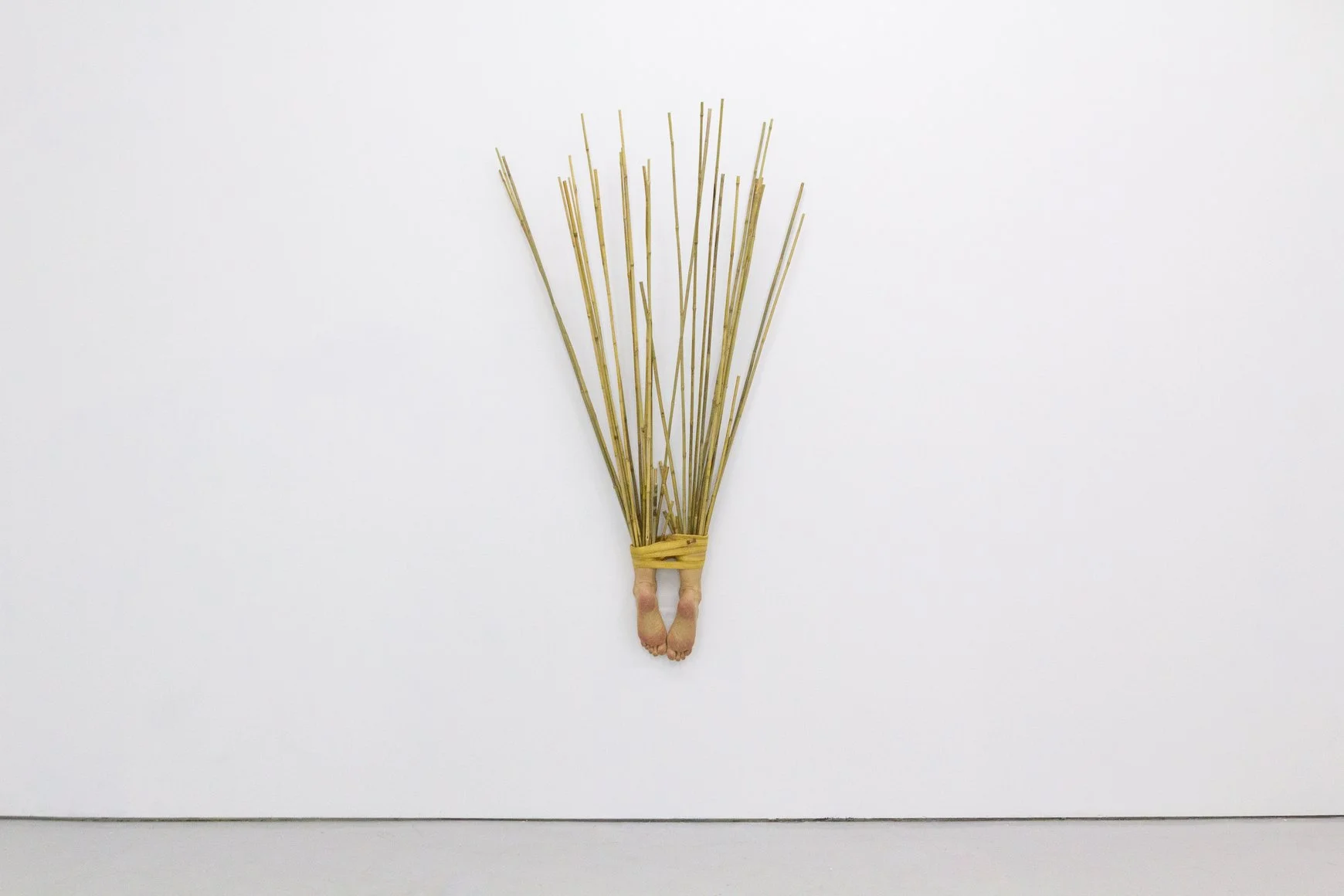 Andrius Alvarez-Backus: I Want to Know, I Need to Know