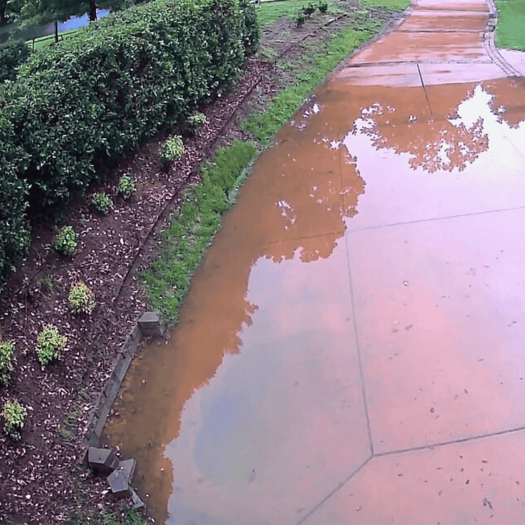 Rainwater pooling on a concrete walkway beside a landscaped bed—standing water and drainage issue at a residential property in the Triangle Area, NC.