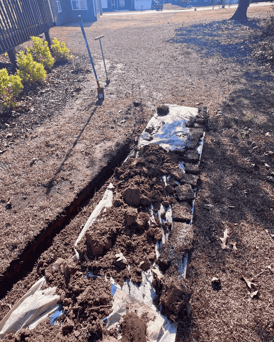 Trench excavation along a landscaped garden bed for a drainage line to fix standing water and runoff in Apex, NC.