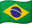 Brazilian Flag