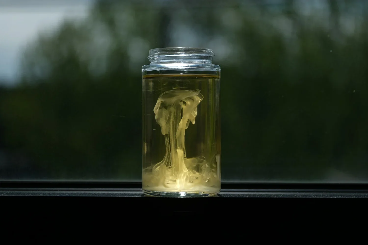 Grapeseed oil suspended in a clear glass bottle.