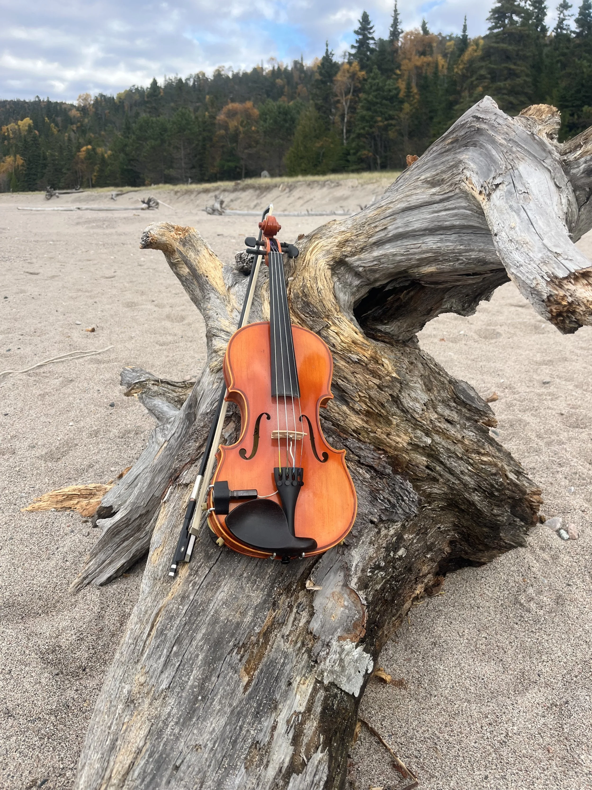 A violin and bow resting on a large piece of driftwood on a sandy beach, with trees and hills in the background.