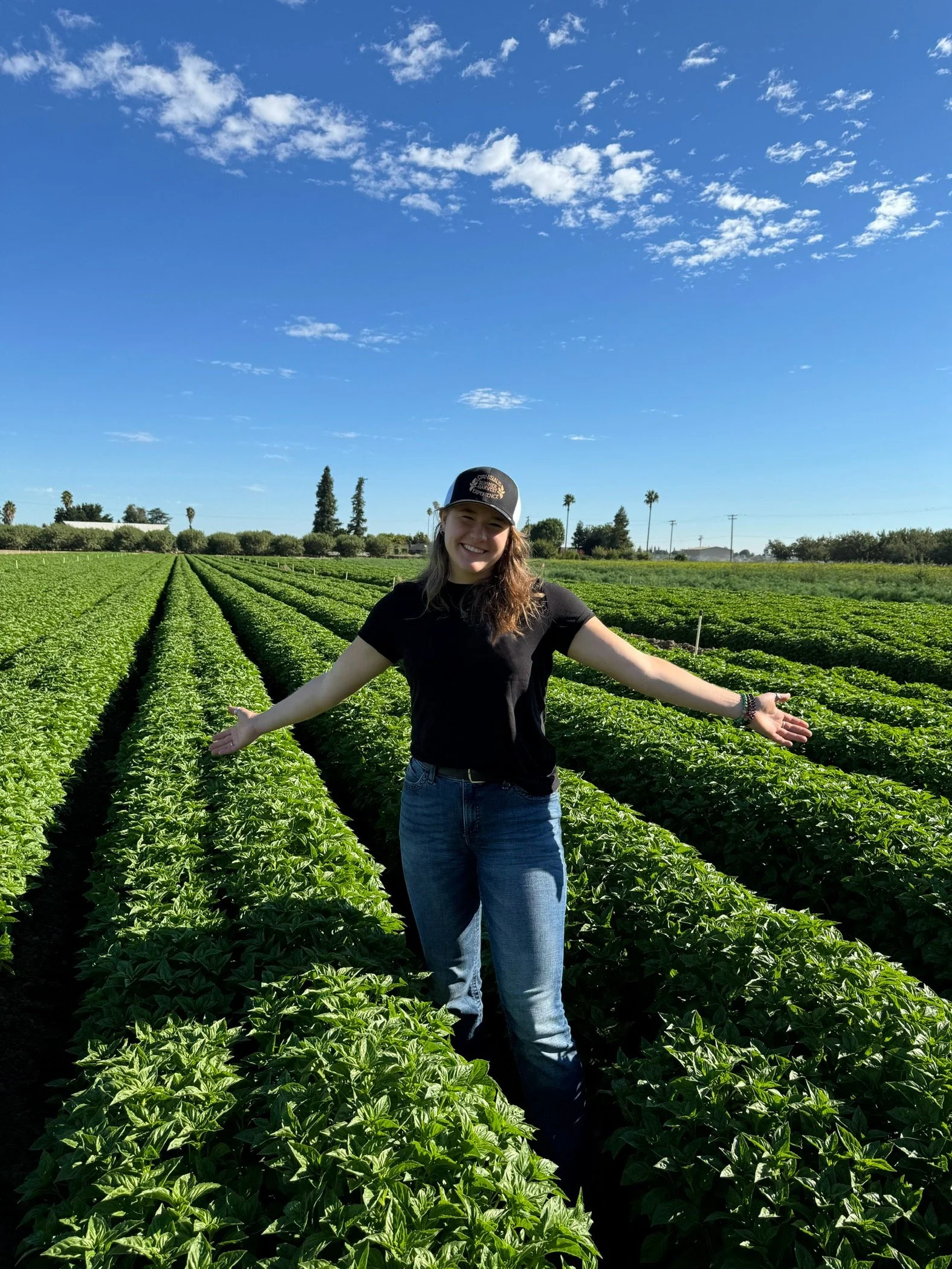 Learning about large-scale basil and tomato production in California