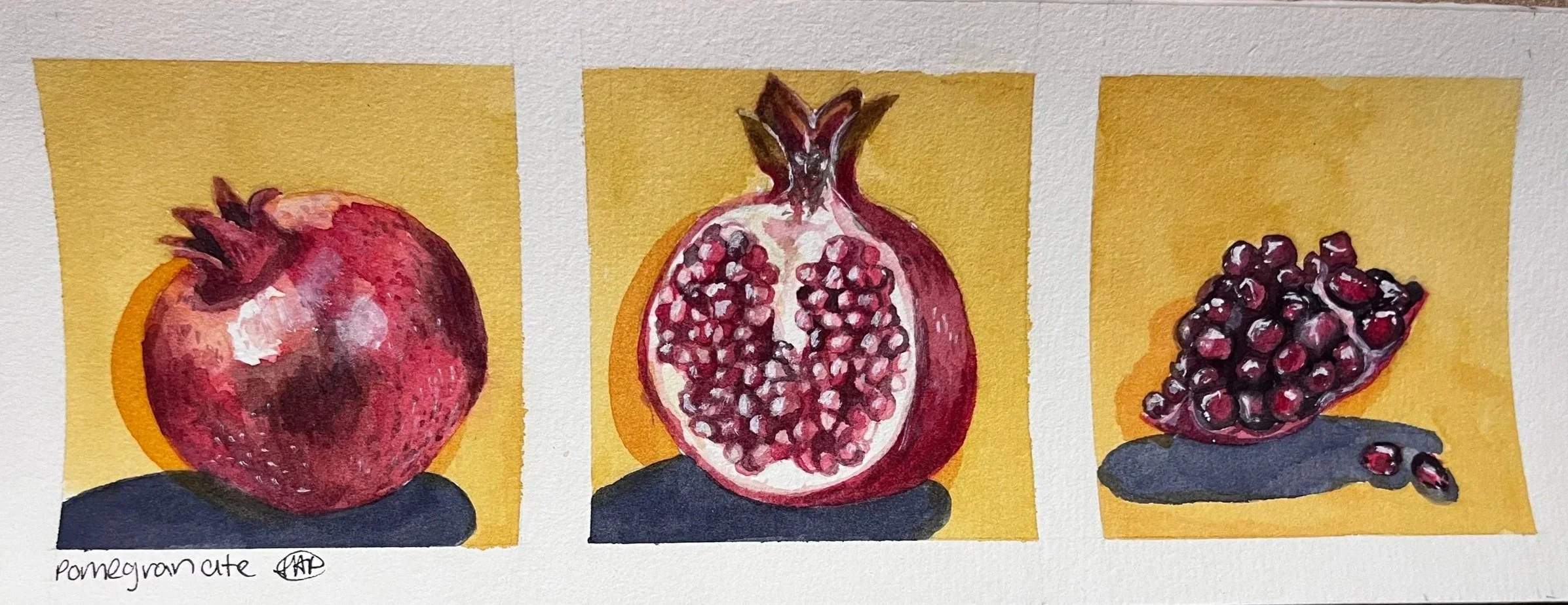 Pomegranate Triptych / Watercolor 