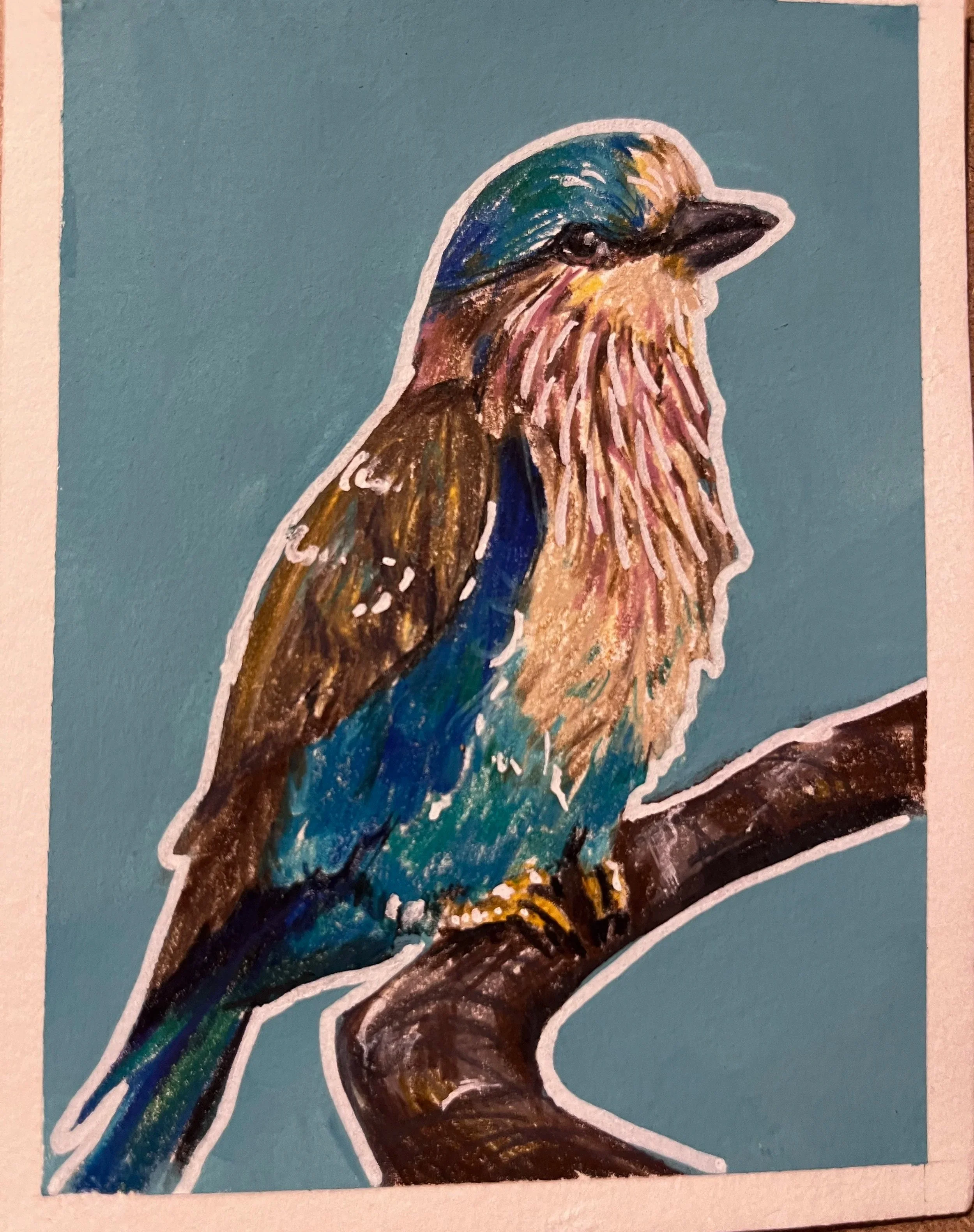 Female Indian Roller / Colored Pencil and Gouache