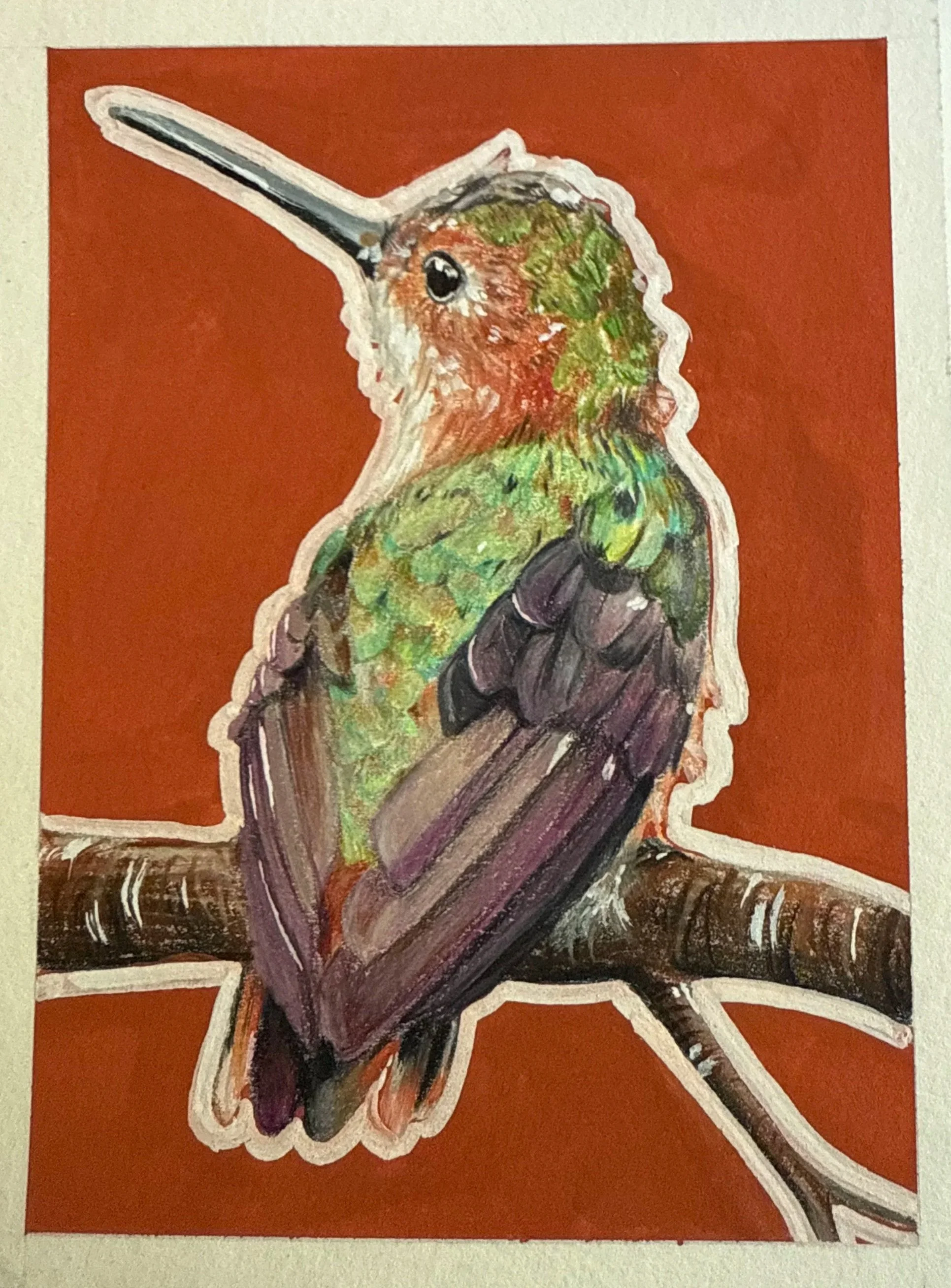 Allen's Hummingbird / Colored Pencil and Gouache 