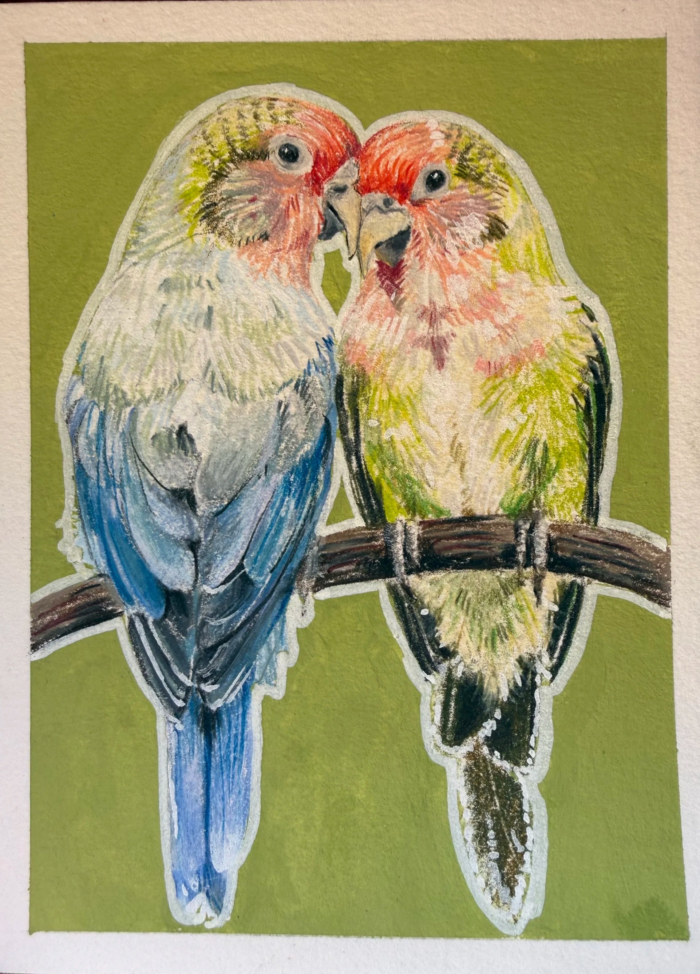 Budgies / Colored Pencil and Gouache 