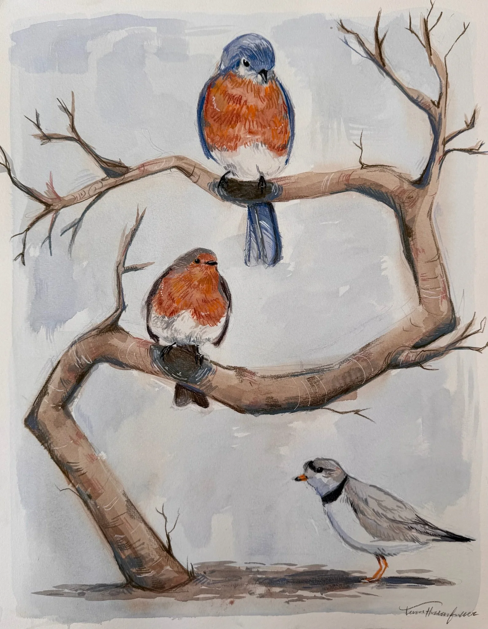 Les Visiteurs / Watercolor and Color Pencil
16 x 20 in 