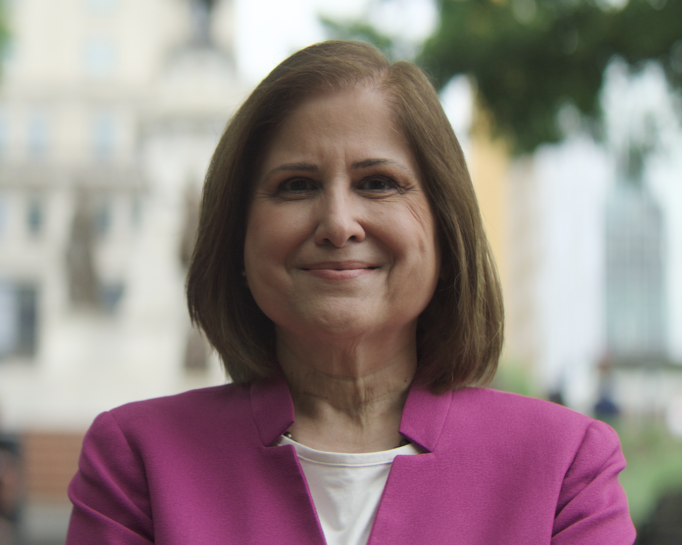 Picture of Lieutenant Governor - Elect Ghazala Hashmi