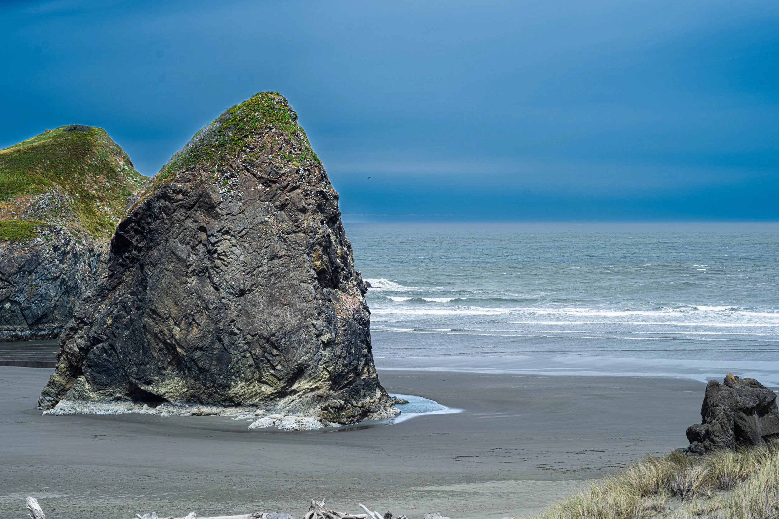 DSCF5519.jpg