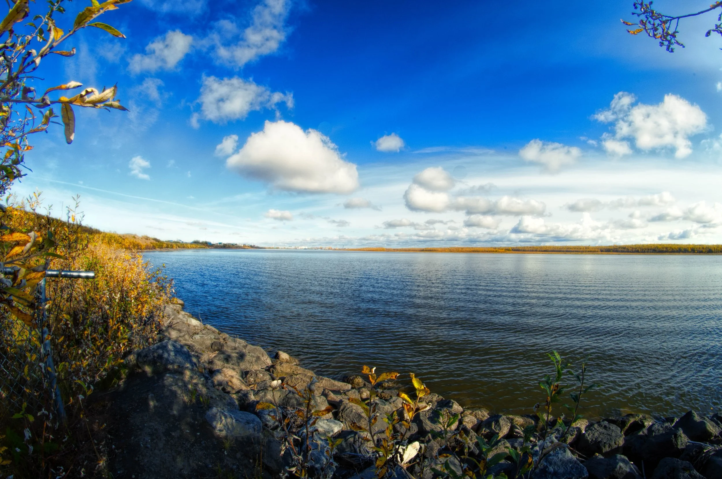 _DSC2416-Edit-2-Edit.jpg