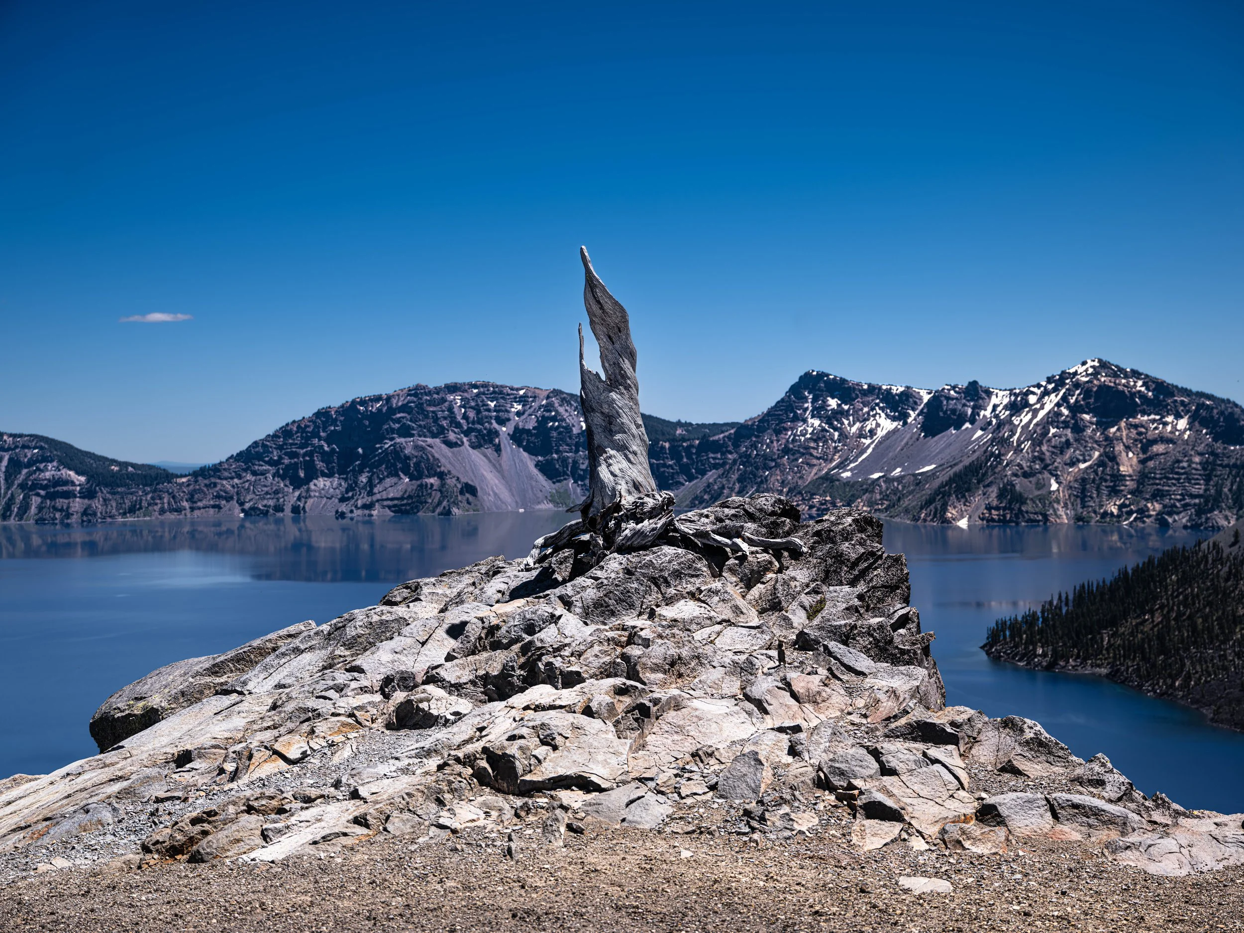 DSCF5628.jpg