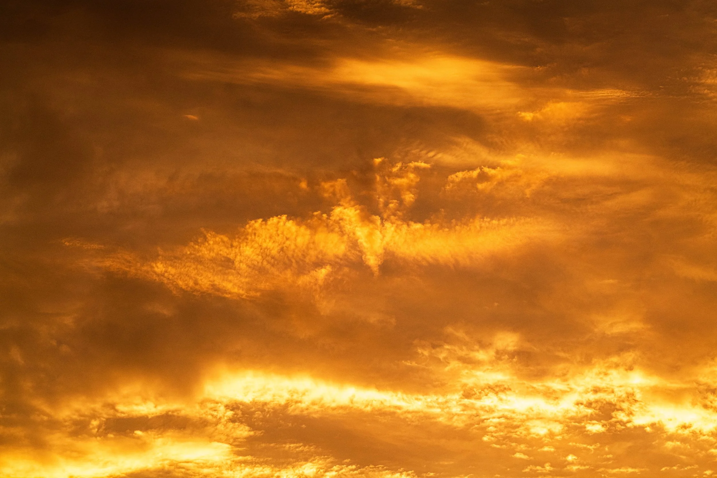 L1010043.jpg