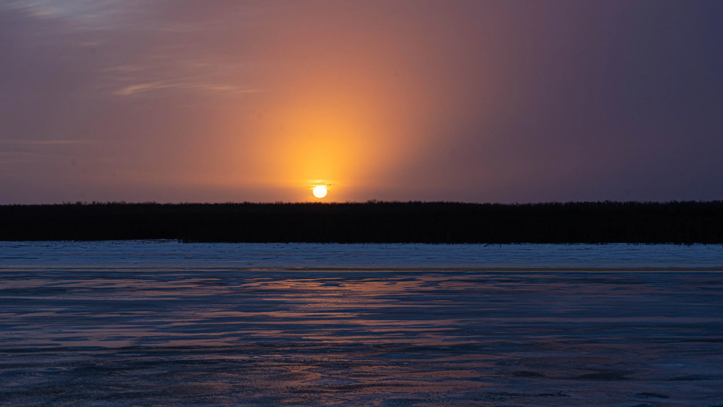 _DSC7812.jpg