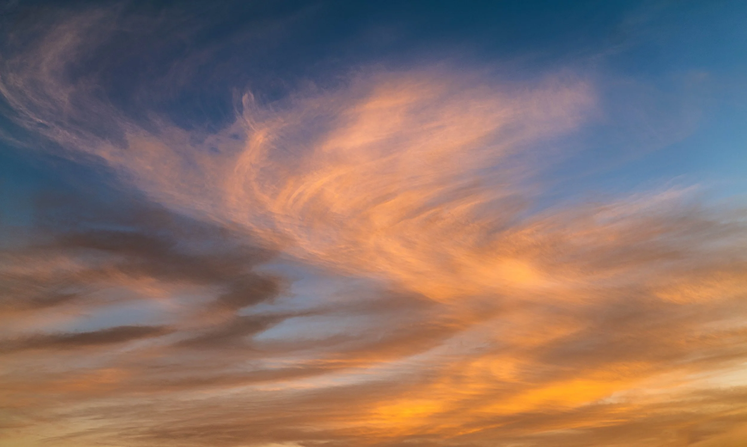 L1000937.jpg
