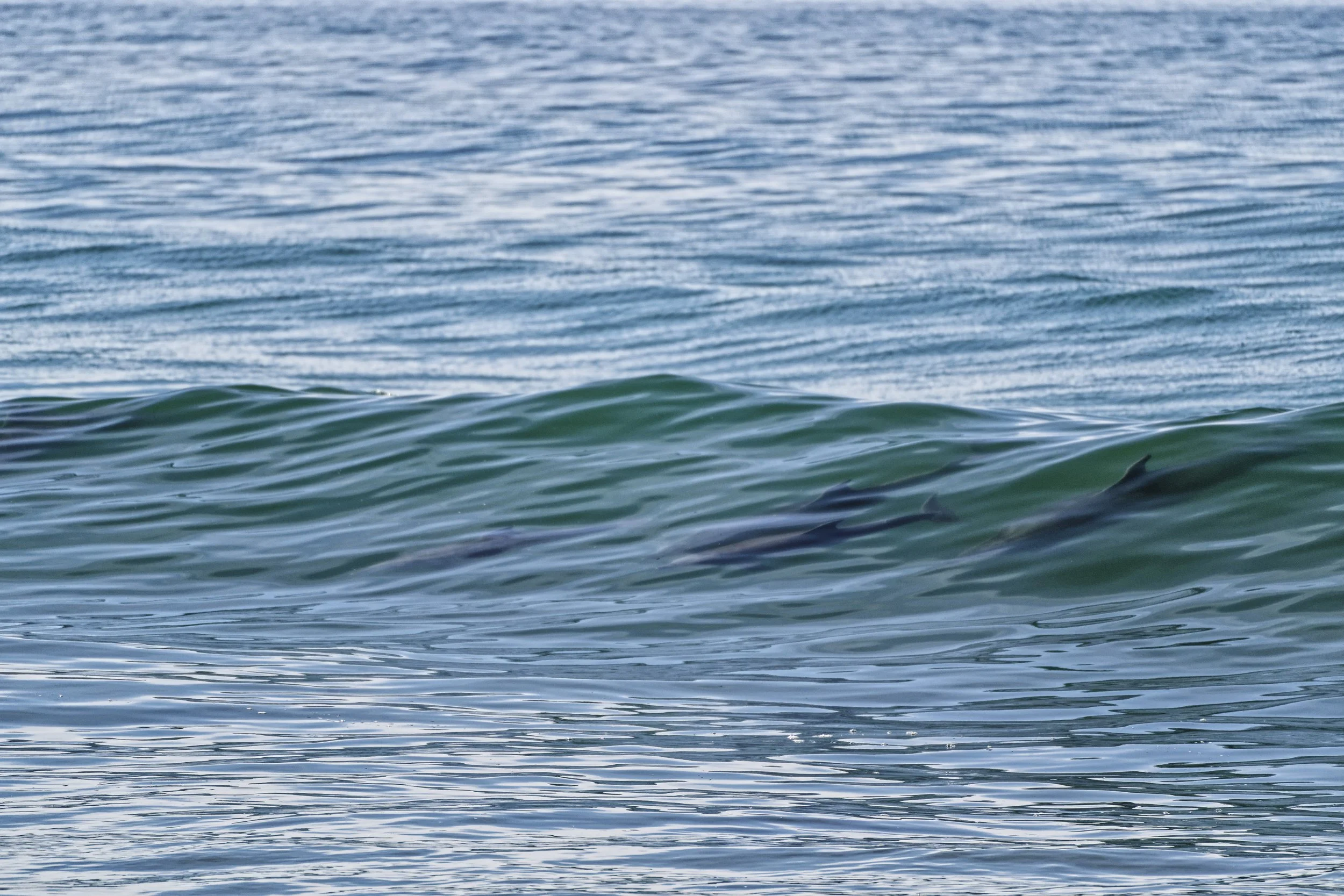 California waves