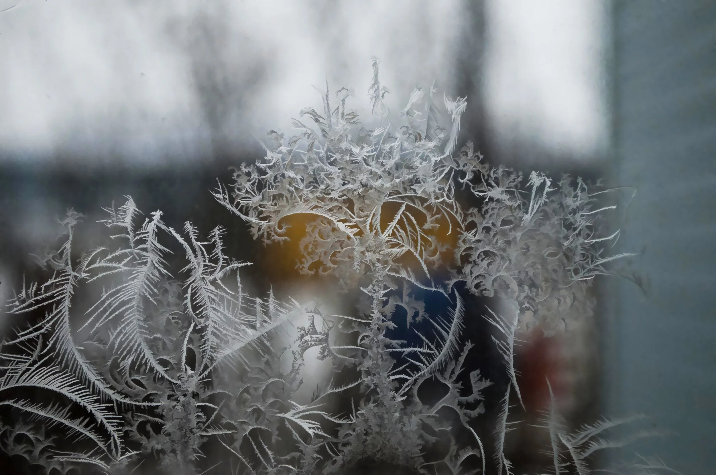 Window Art