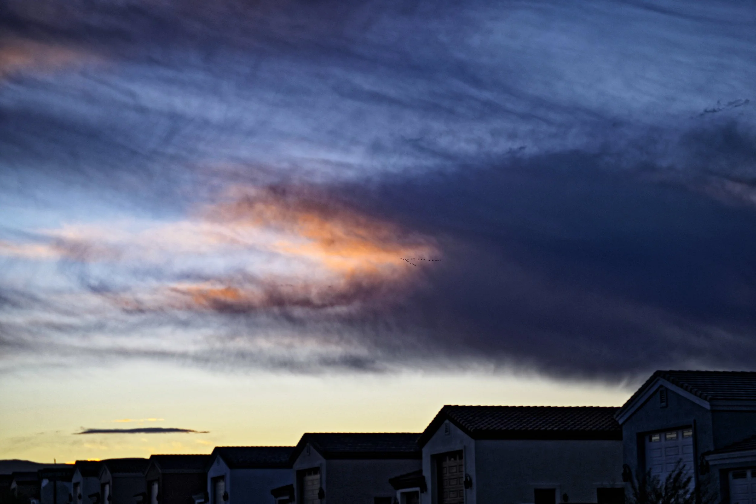 Birds flying out of a cloud