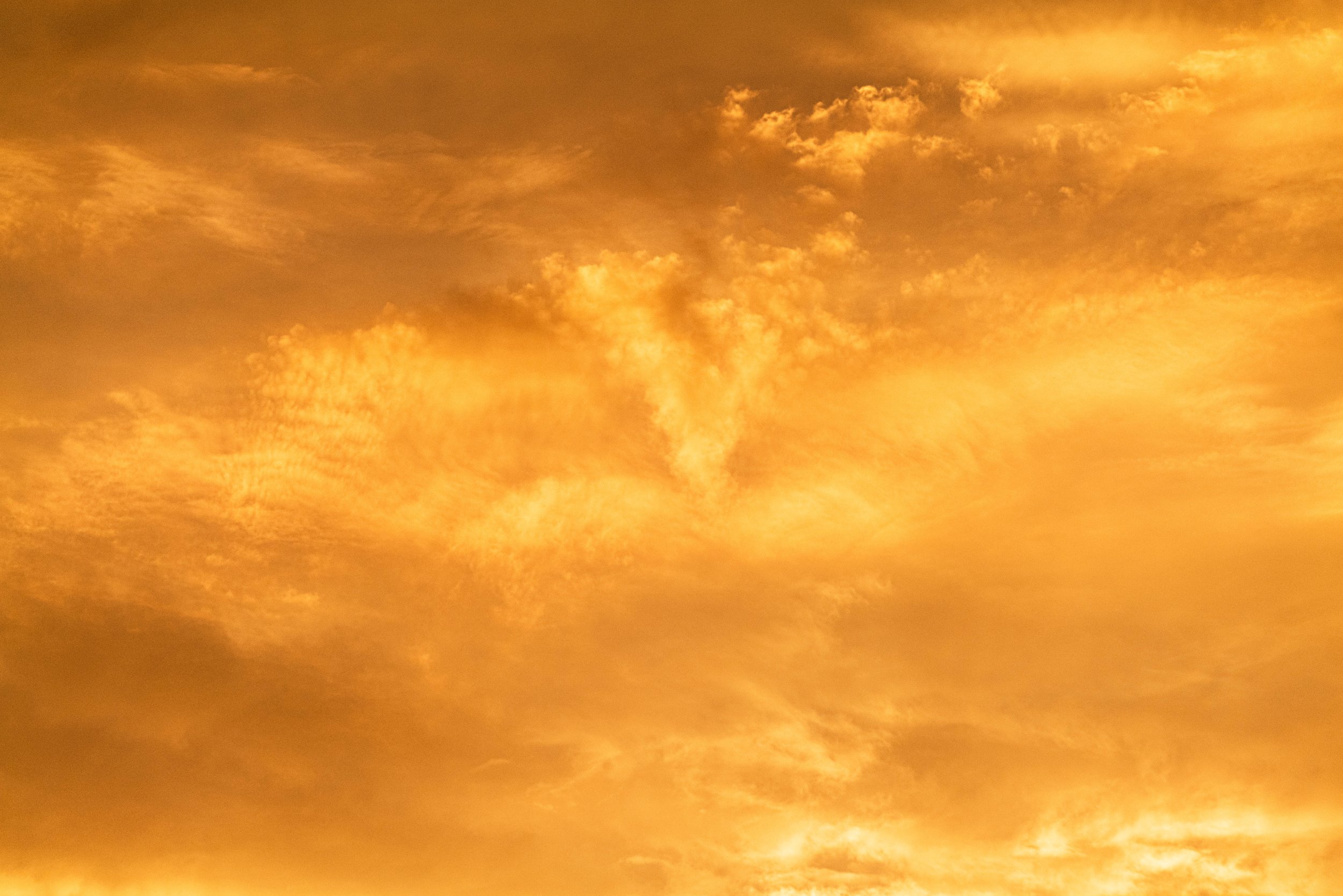 L1010038-2.jpg