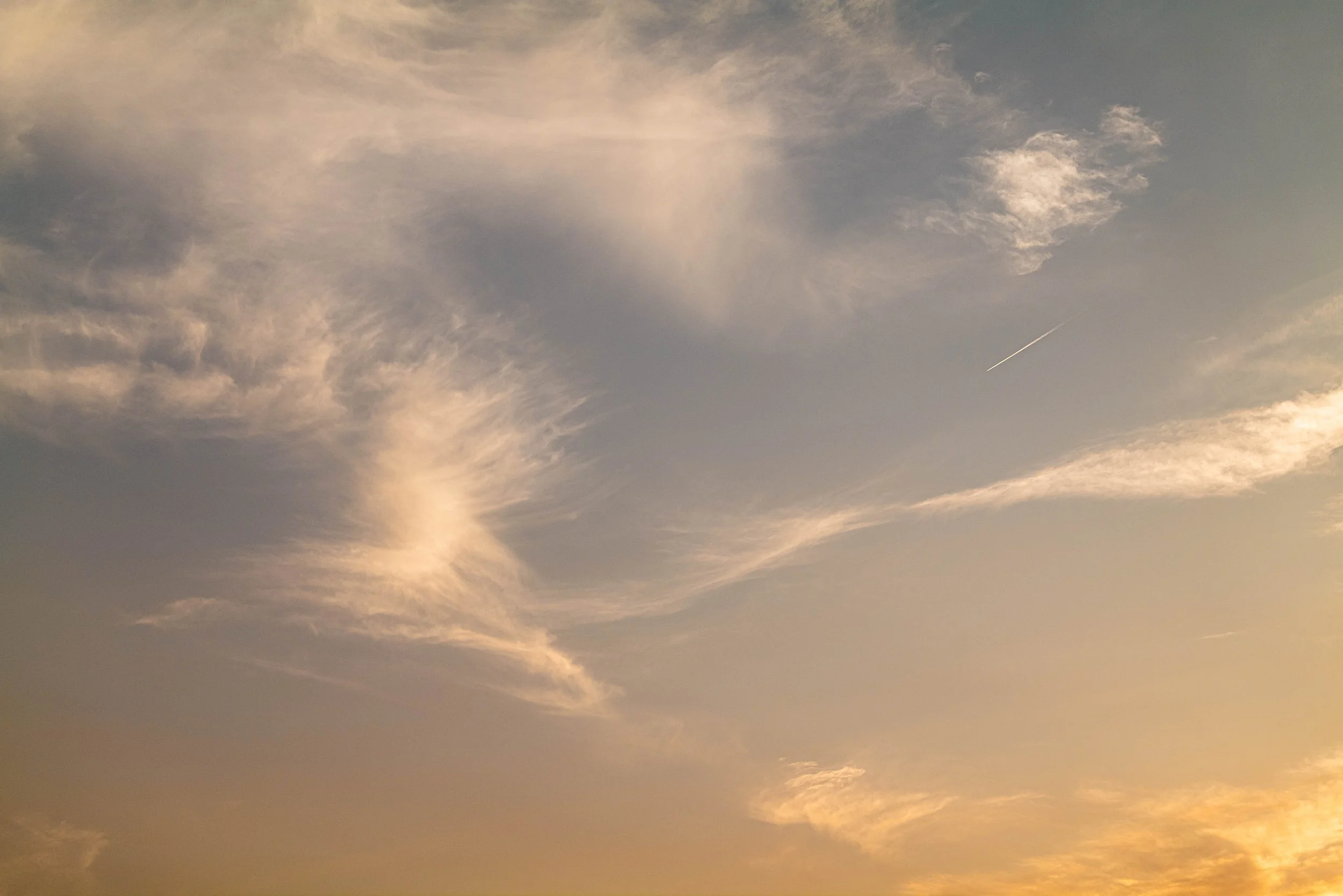 L1010055-2.jpg