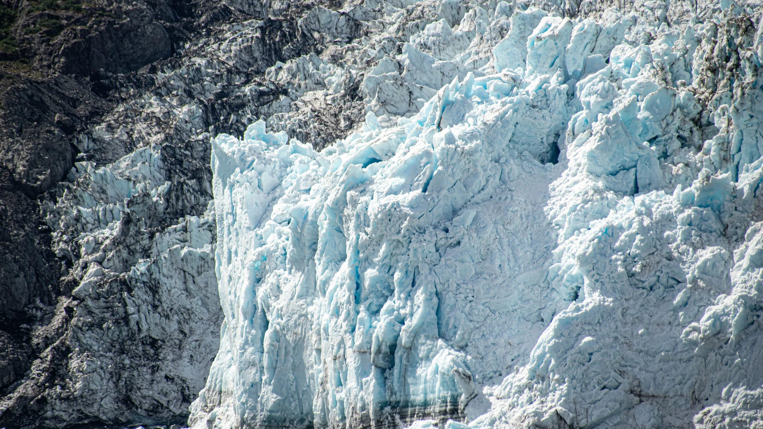 _DSC3801 3.jpg