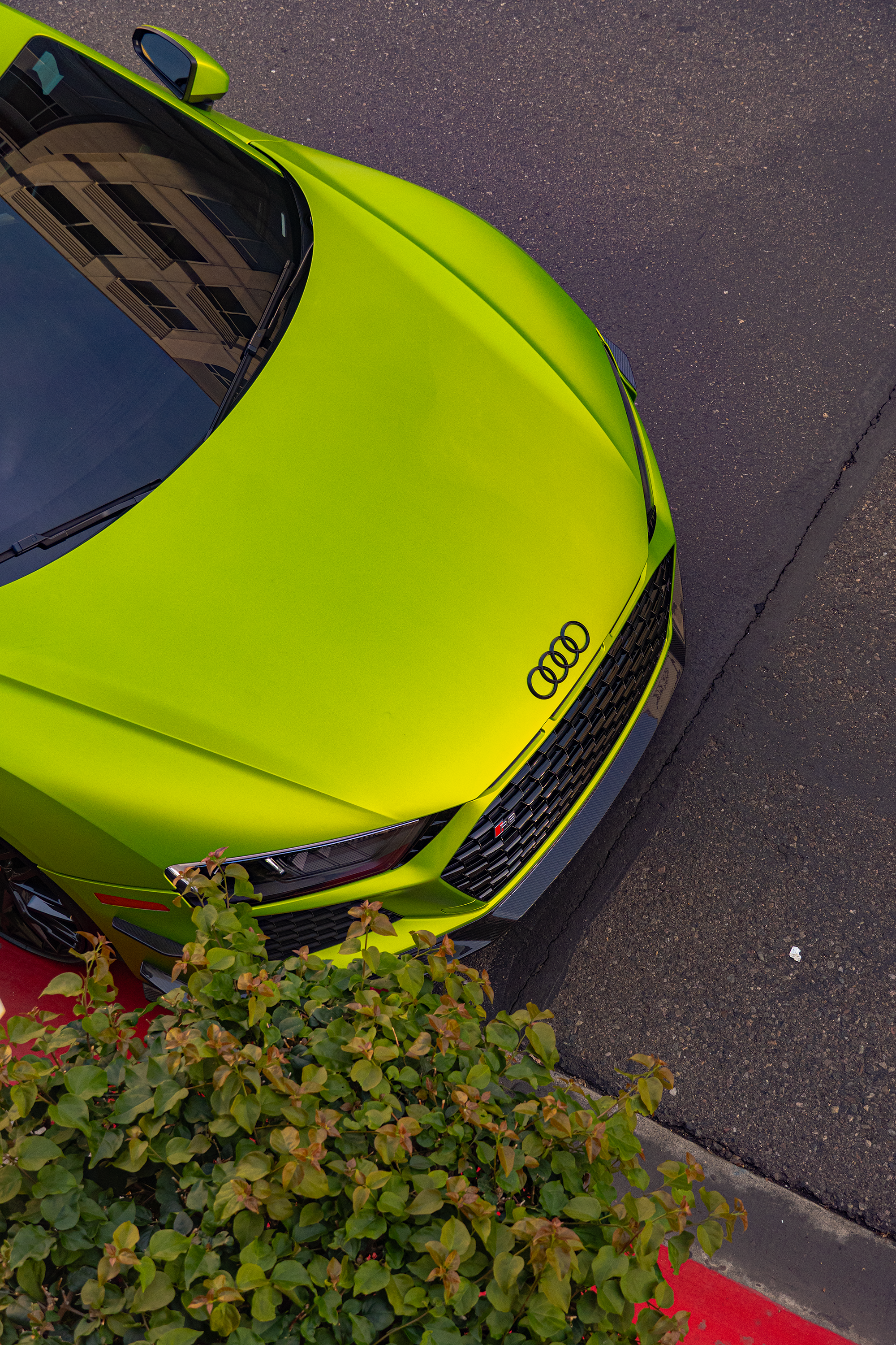 High Street-24 18.png