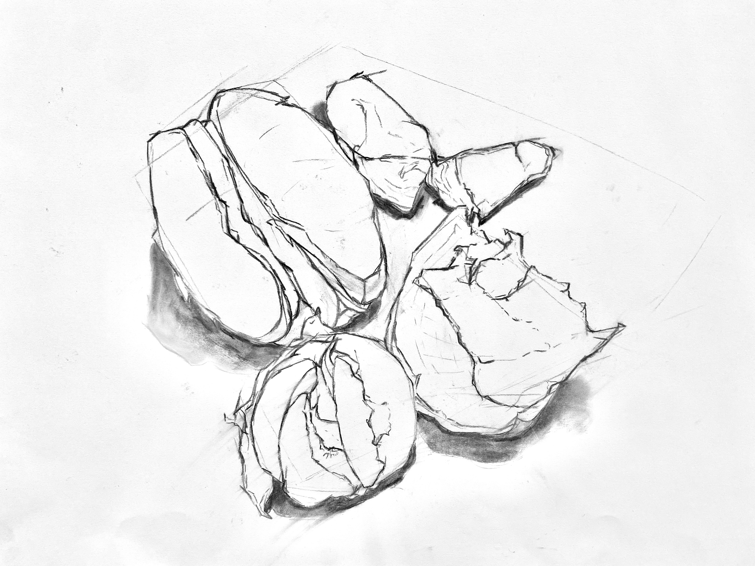 IMG_6540.png
