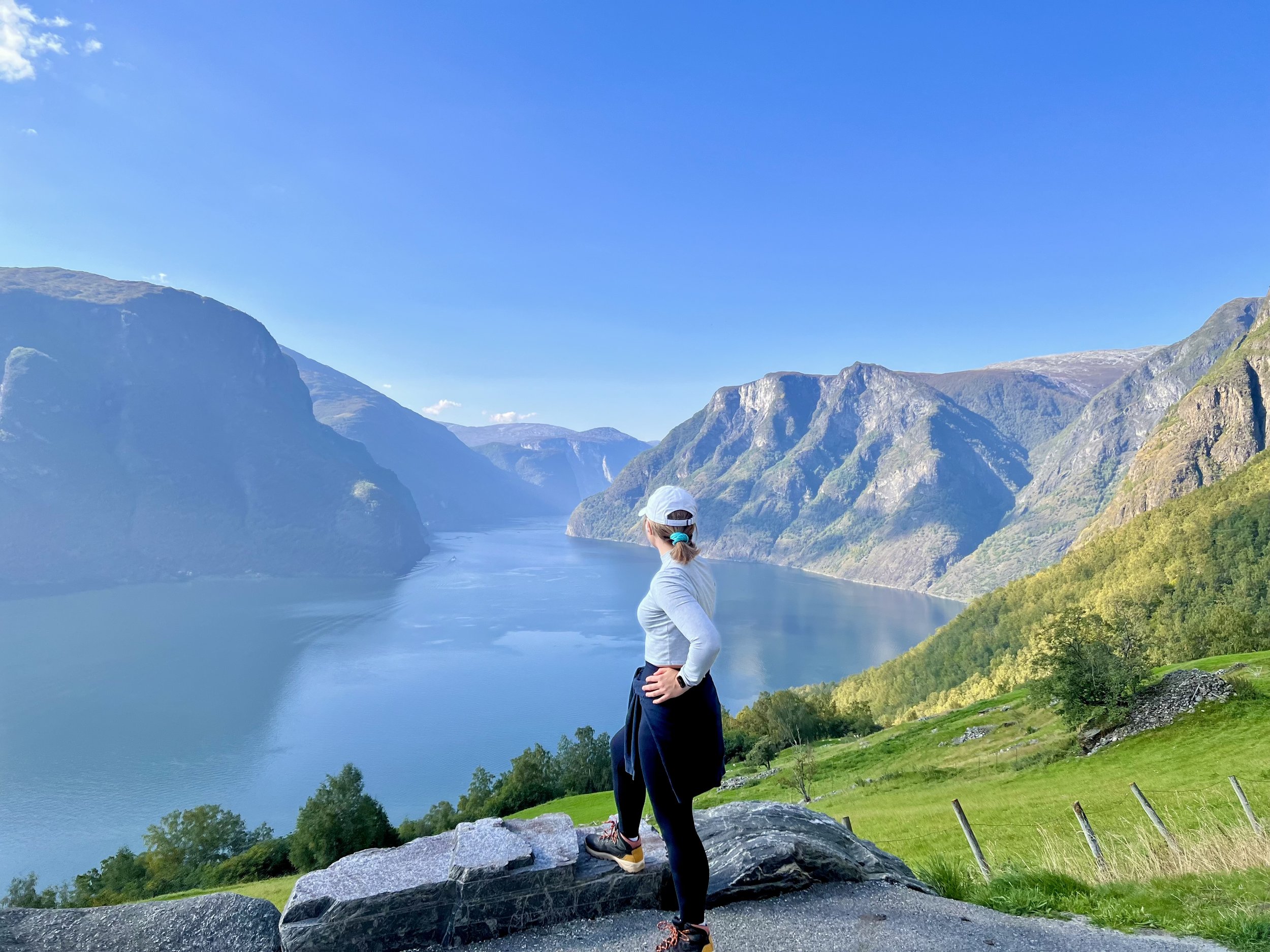 A woman standing on a rock, gazing at a fjord surrounded by towering mountains with lush green vegetation on a clear, sunny day.