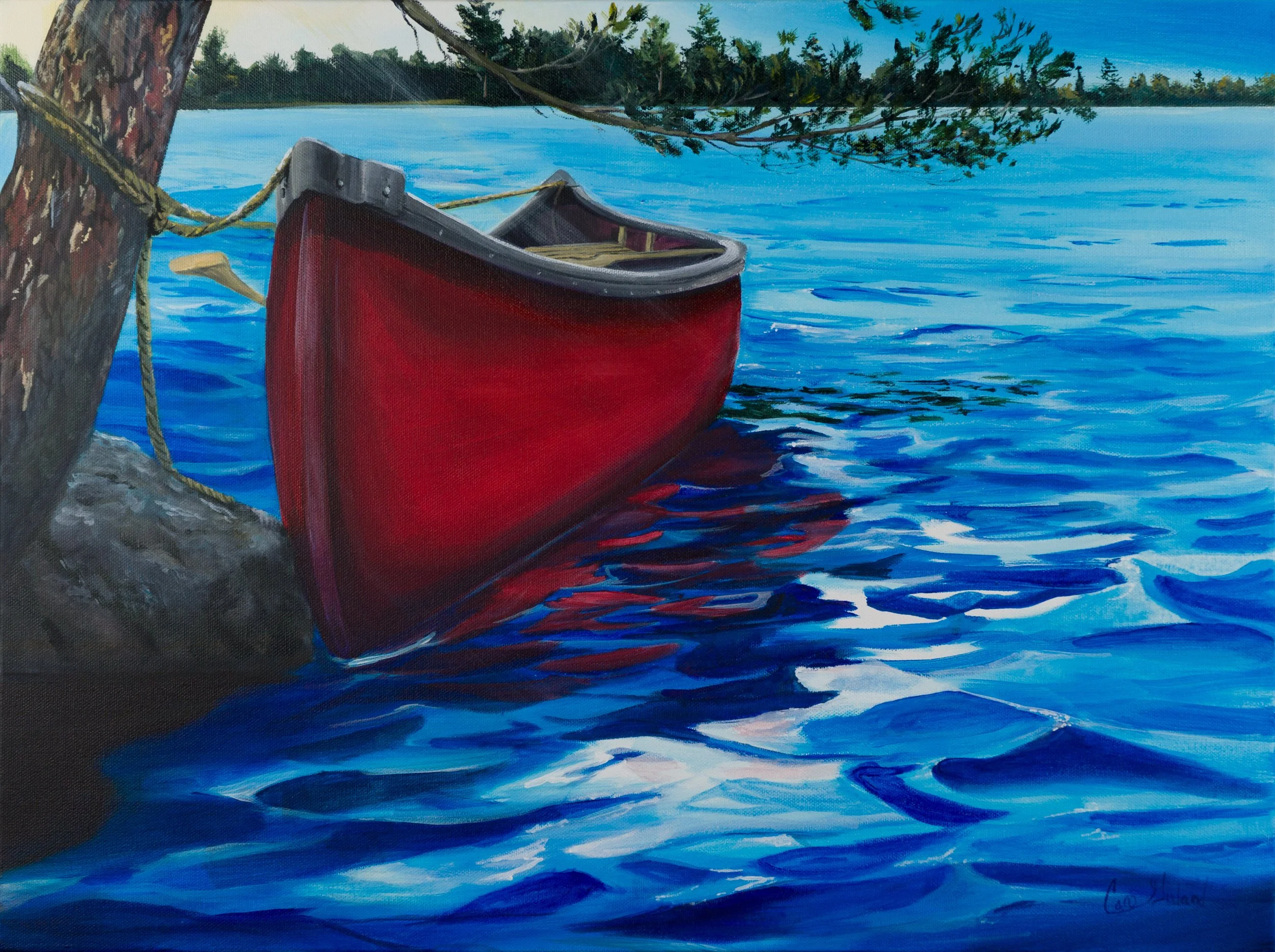 2024-22 Canoe Brilliance.jpg