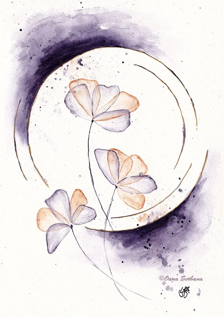 Transparent flowers_bornofchaos lr.jpg