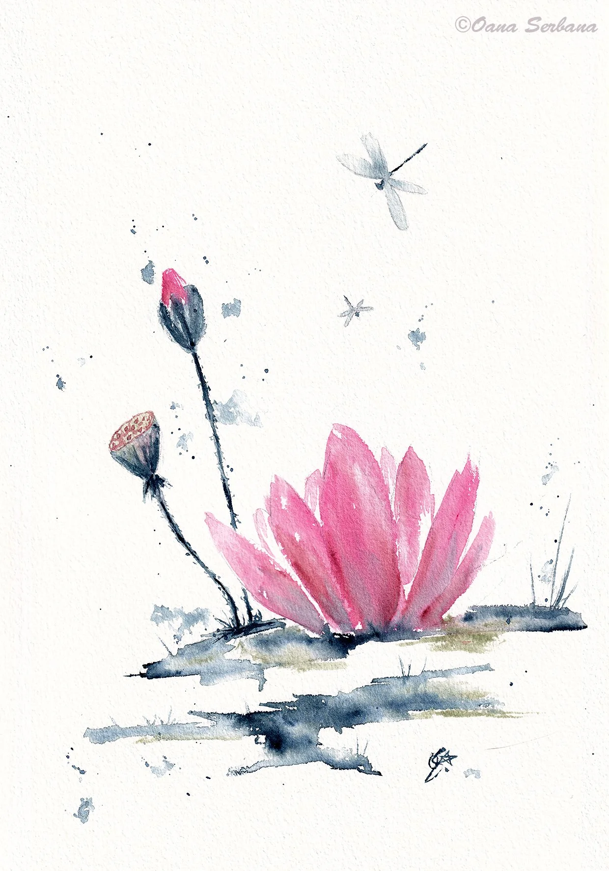 Pink lotus set 2 pr.jpg