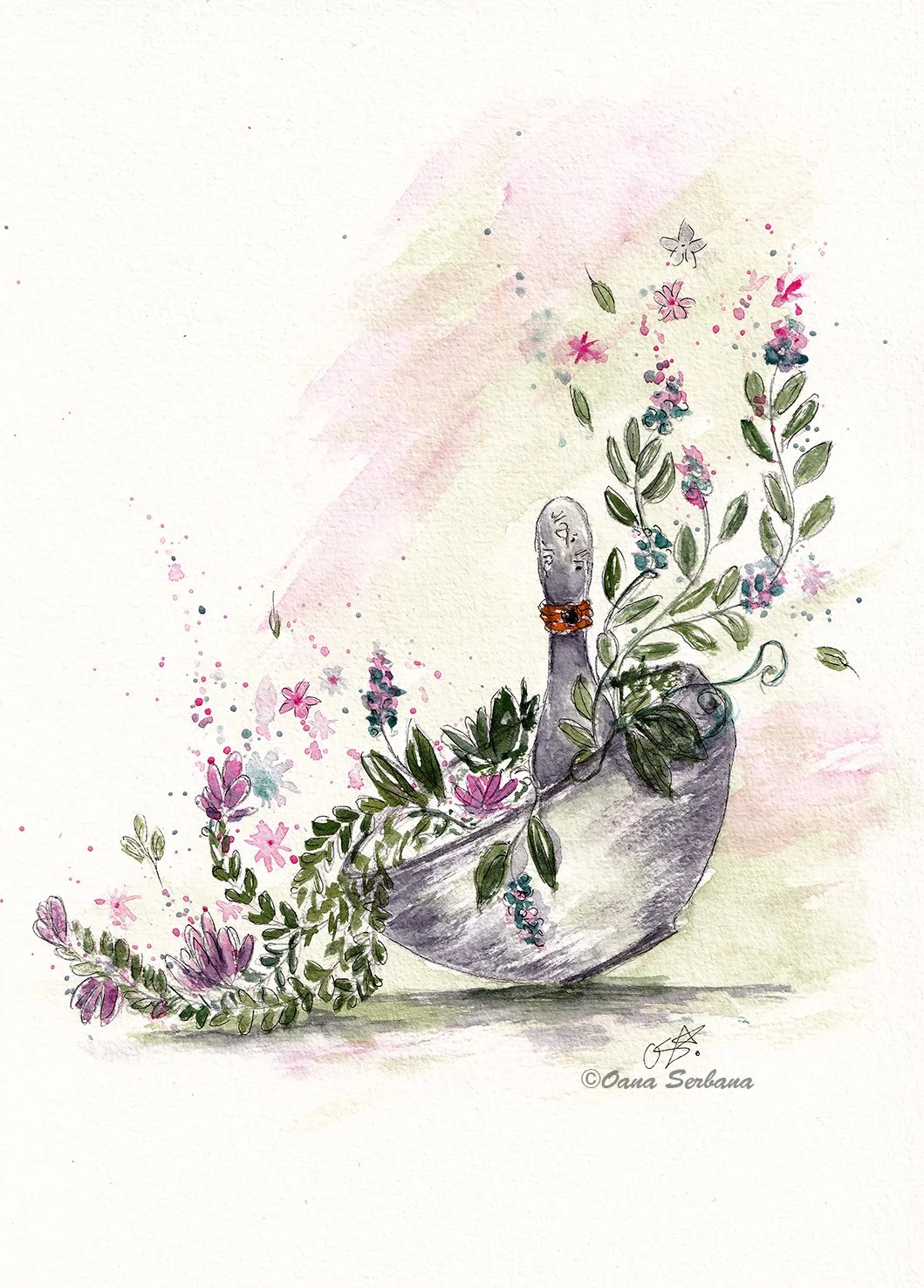 Plants in mojar lr.jpg