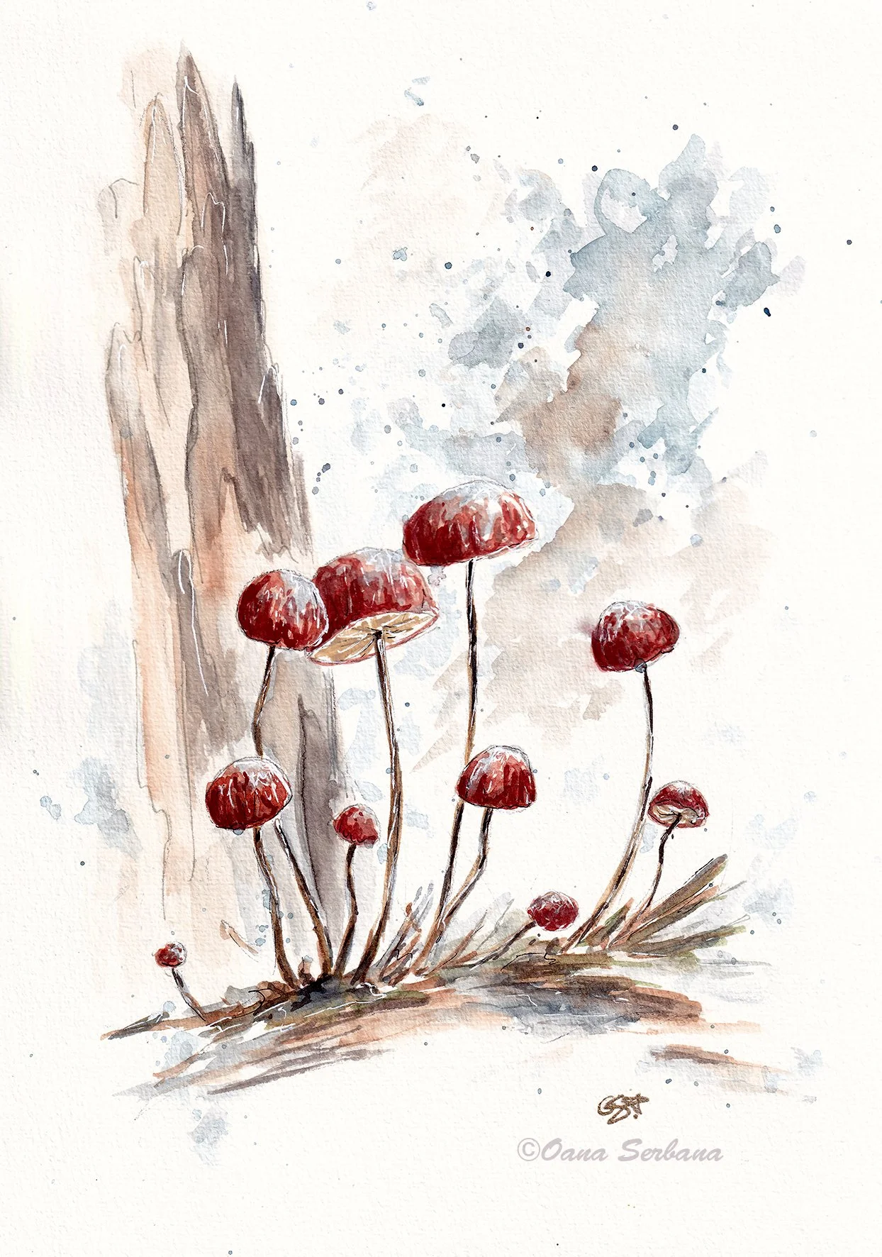 Autumn mushrooms 3 lr.jpg