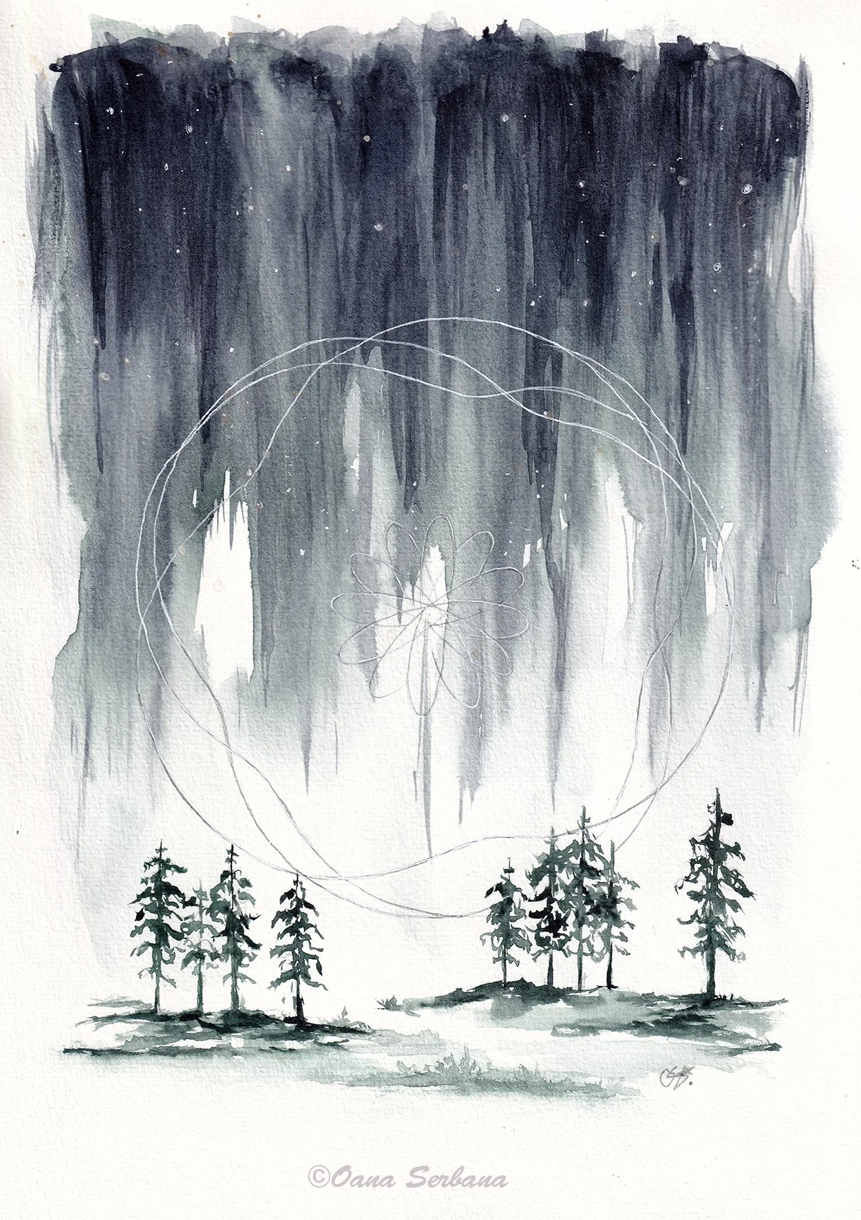 Rain in the forest lr.jpg