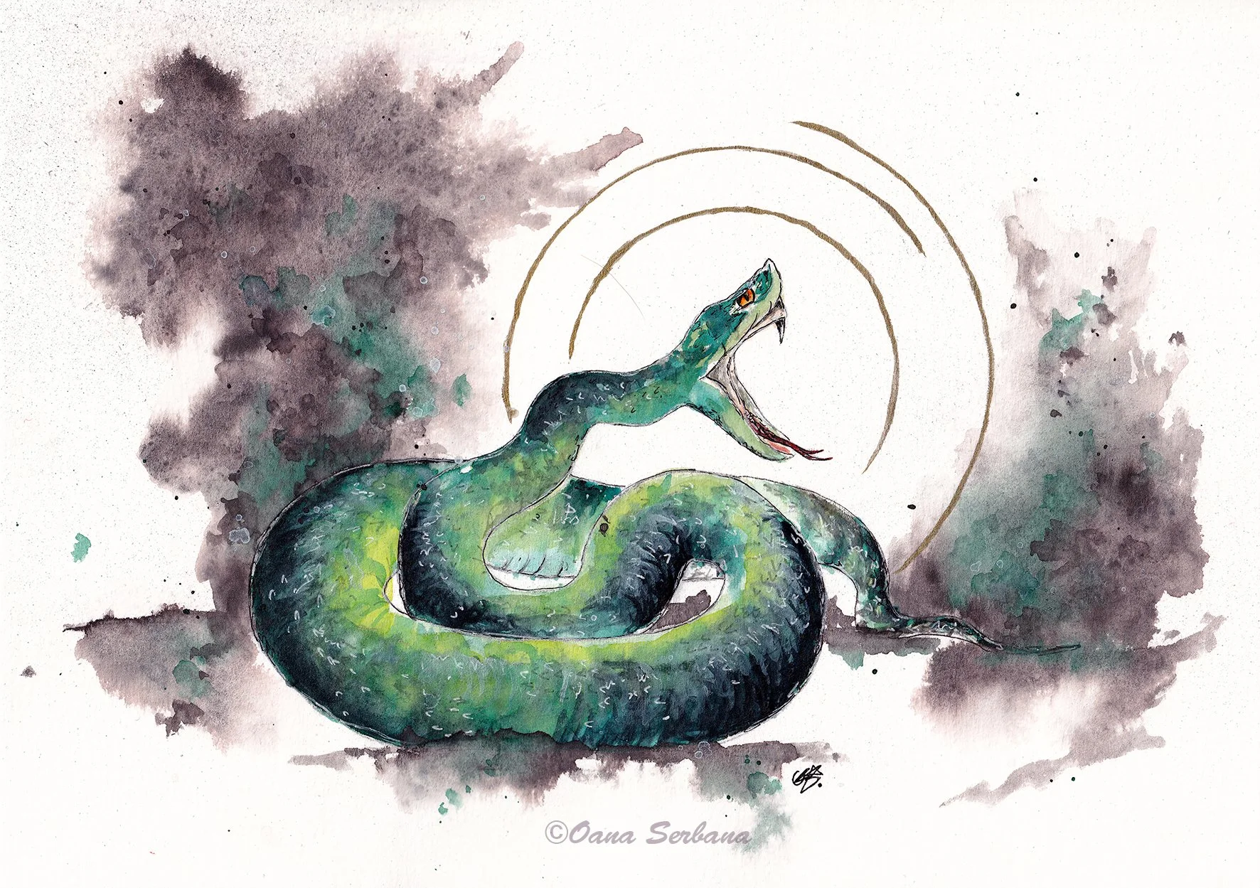 Killer and Healer lr.jpg