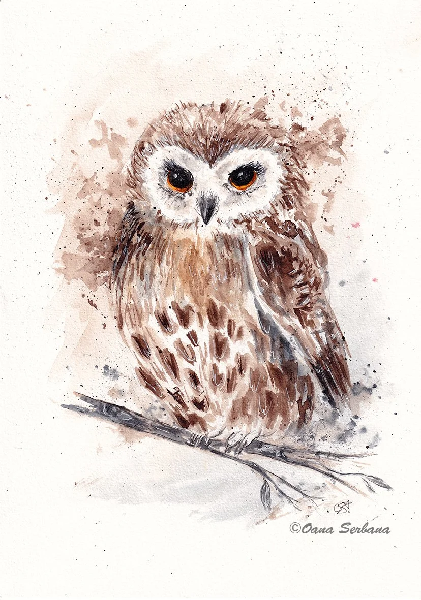 Owl on branch lr.jpg