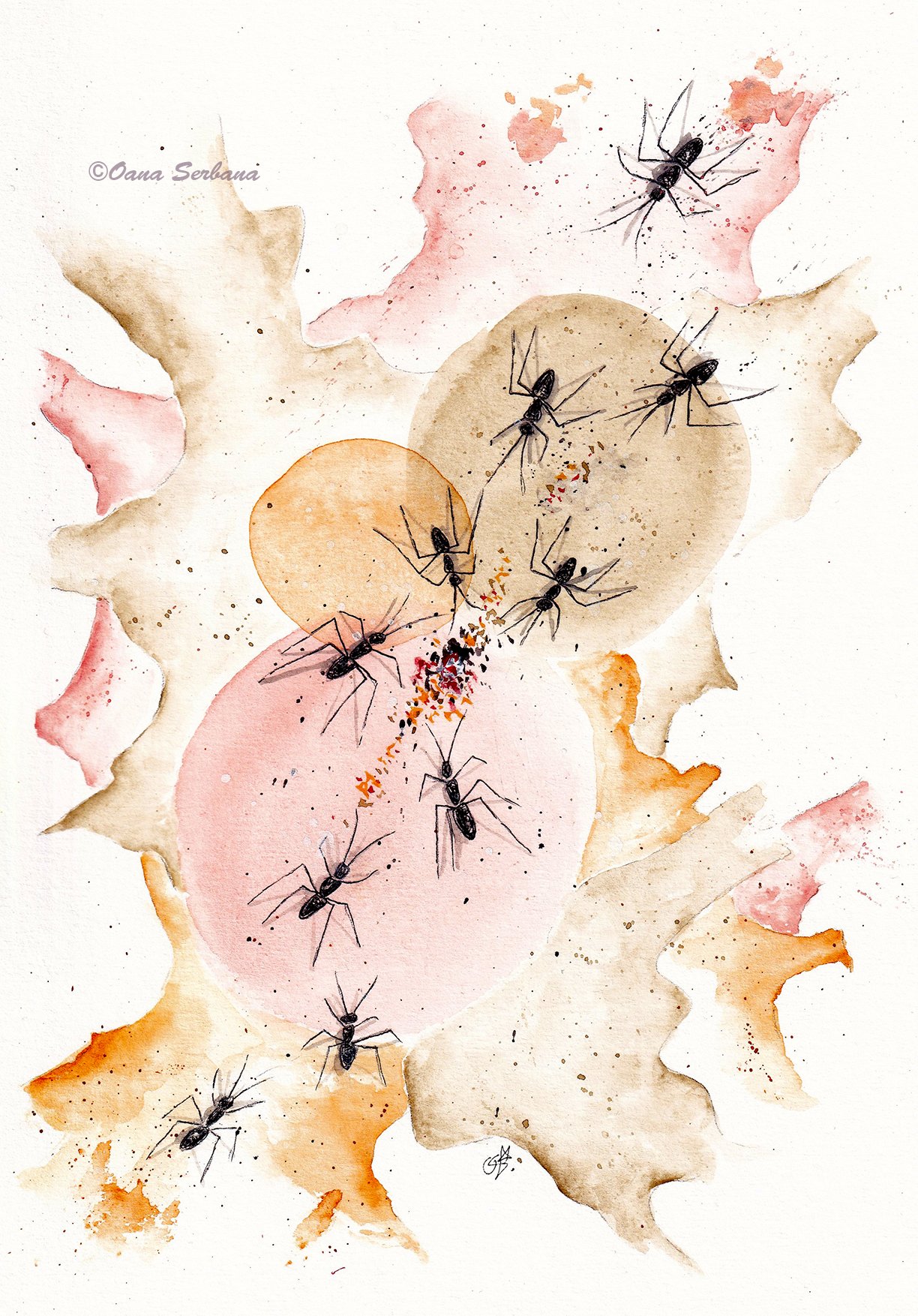 Wisdom Council_lr.jpg