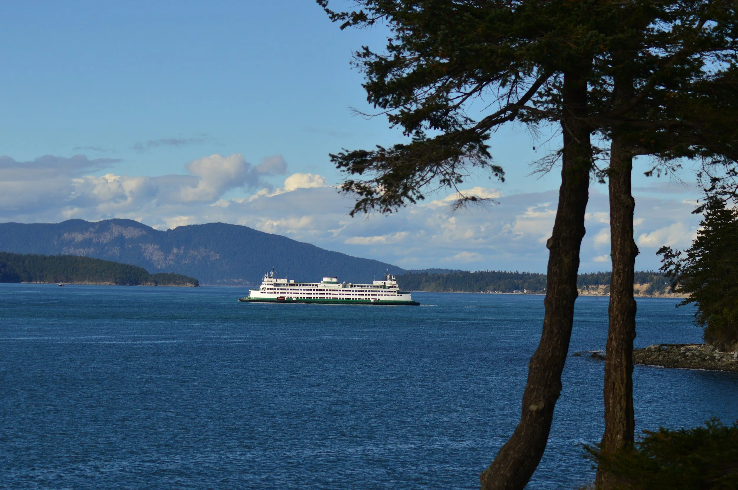 A large white ferry boat traveling across a body of water with mountainous terrain in the background, partially obscured by trees along the shoreline.
