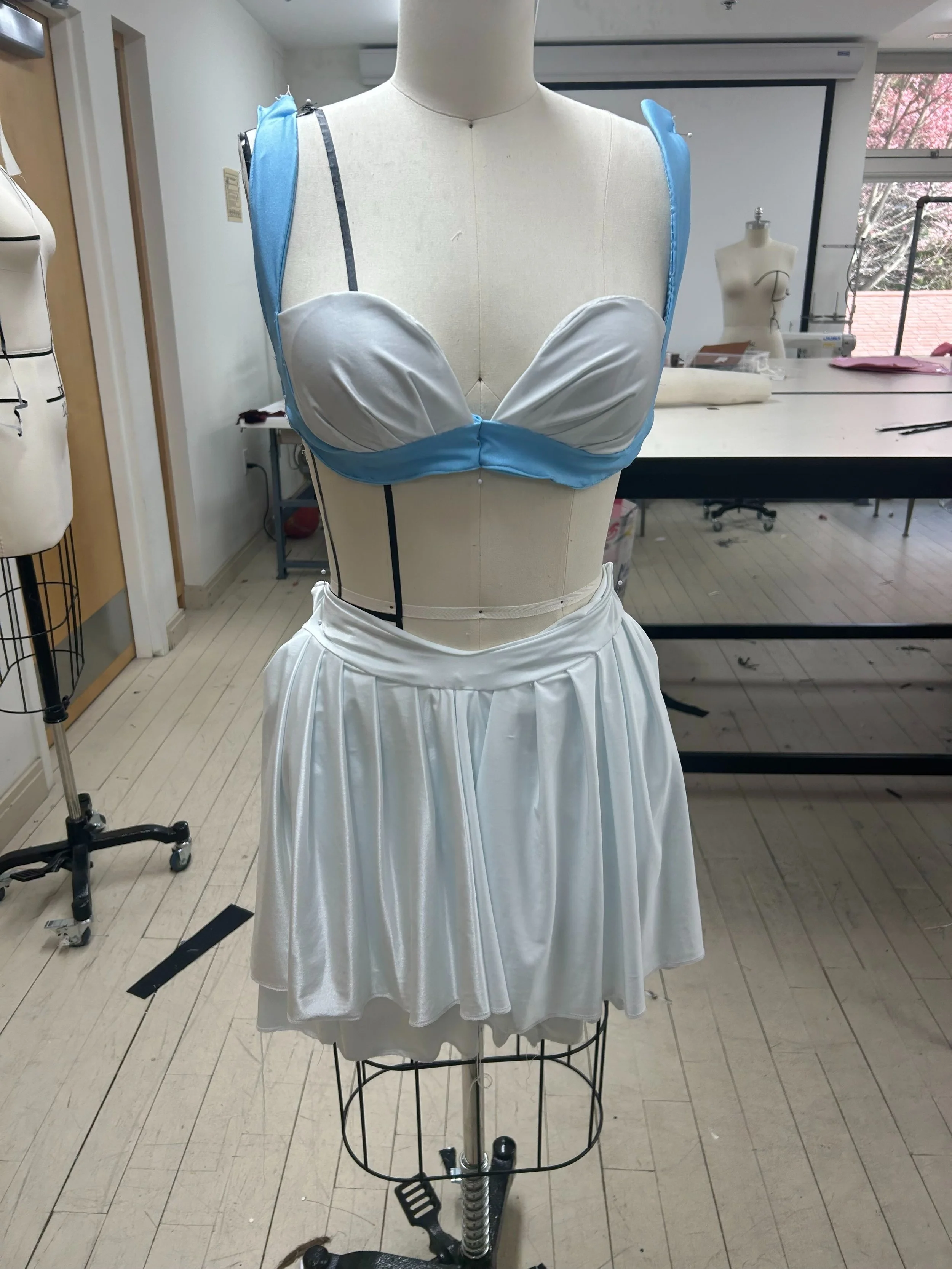 Swimwear Work in Progress