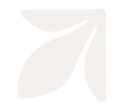 Illustration d'une feuille ou d'une branche