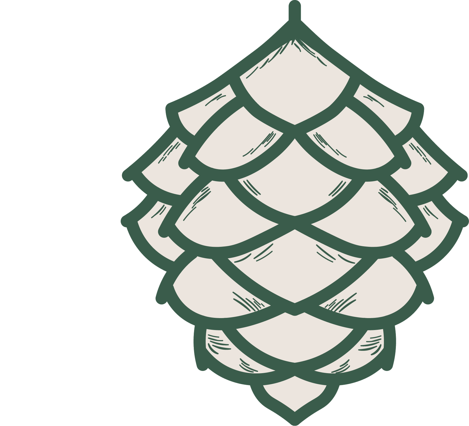 The PineHouse Studio