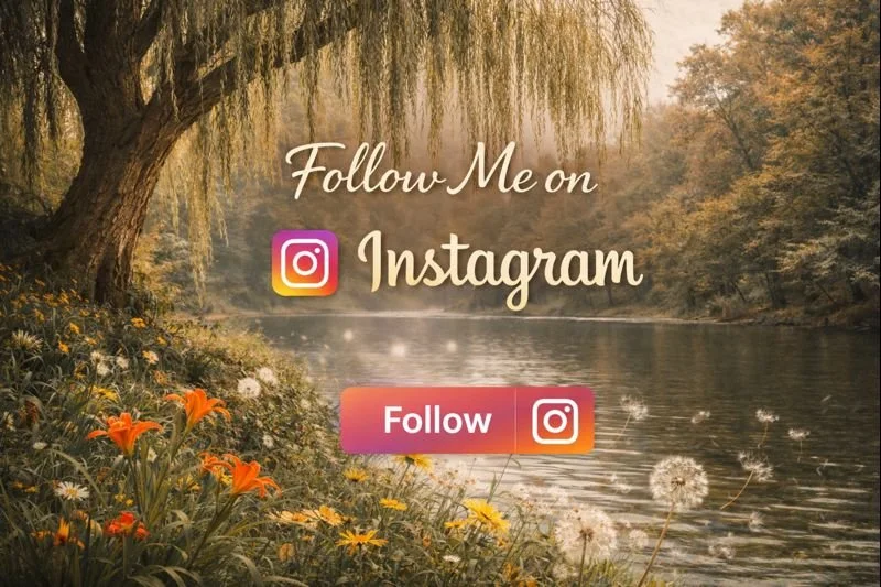 harvey cottrell follow instagram