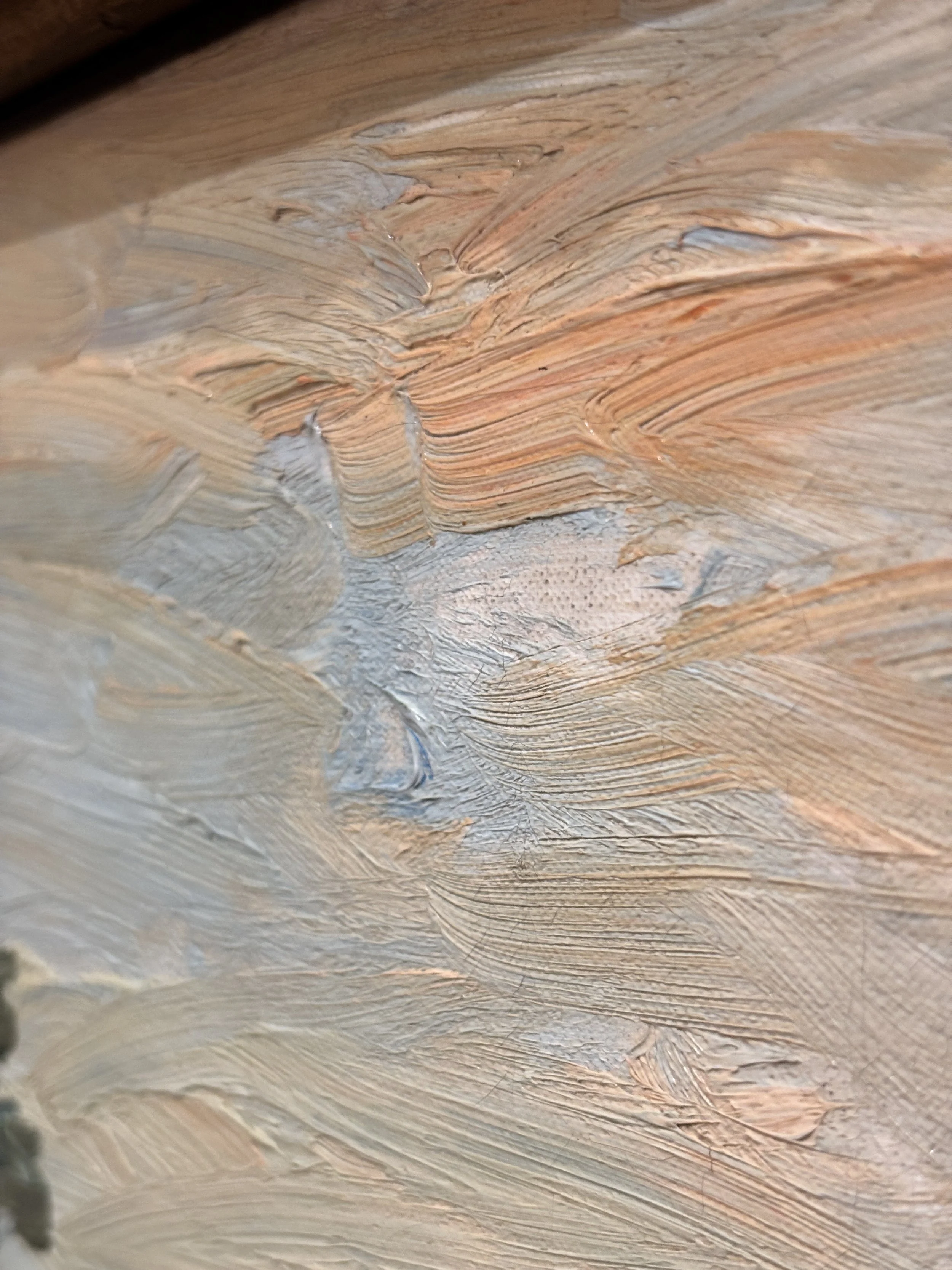 Details__Van_Gogh,_The_Rocks,_1888_(3_of_4).jpg