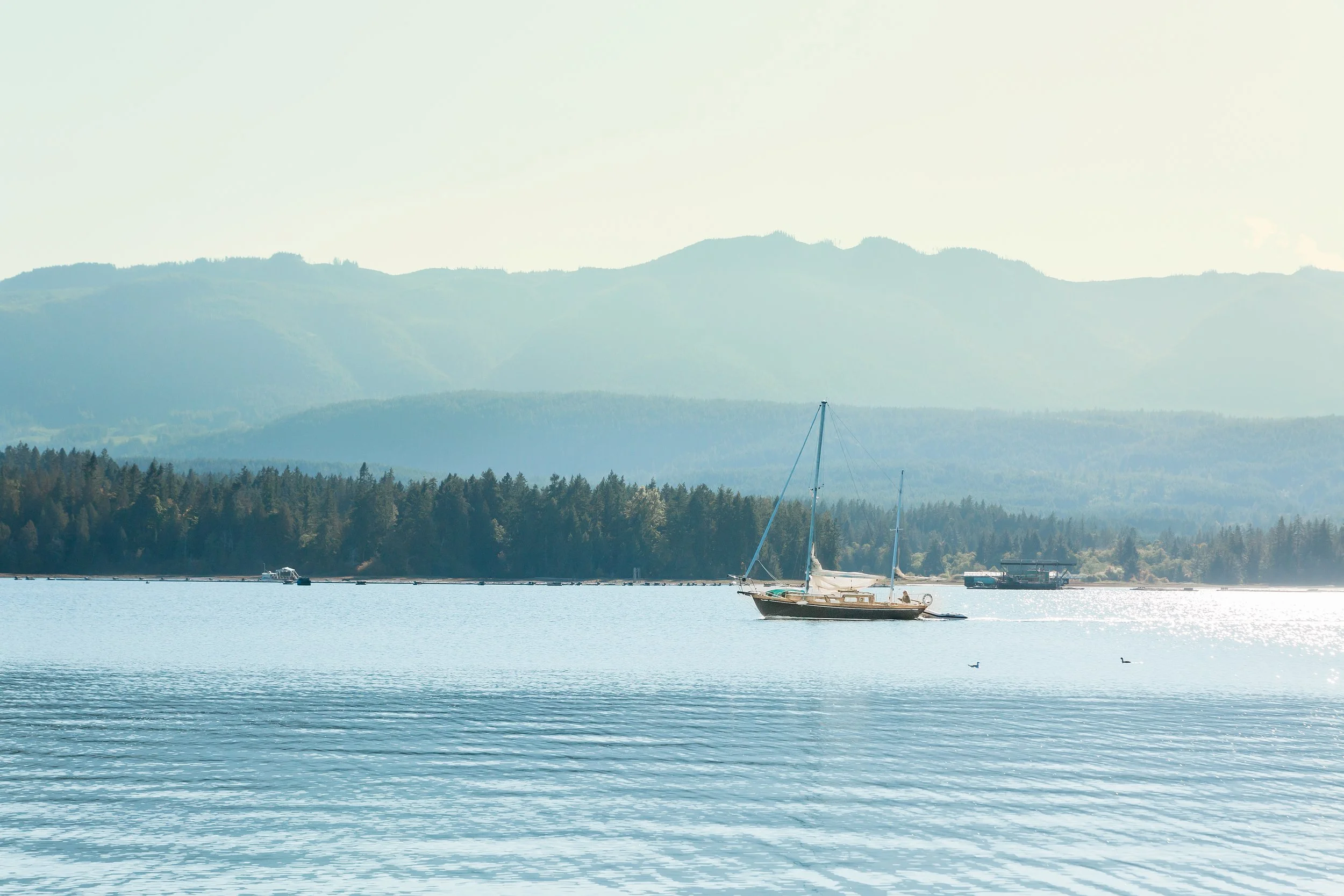 Sea by the Mountains