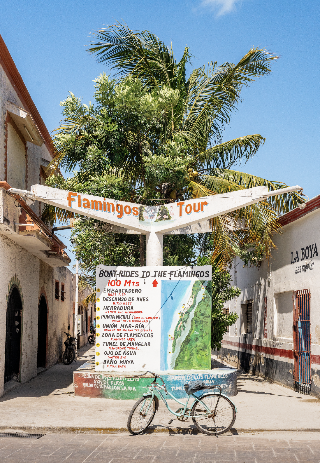 Flamingo Tours
