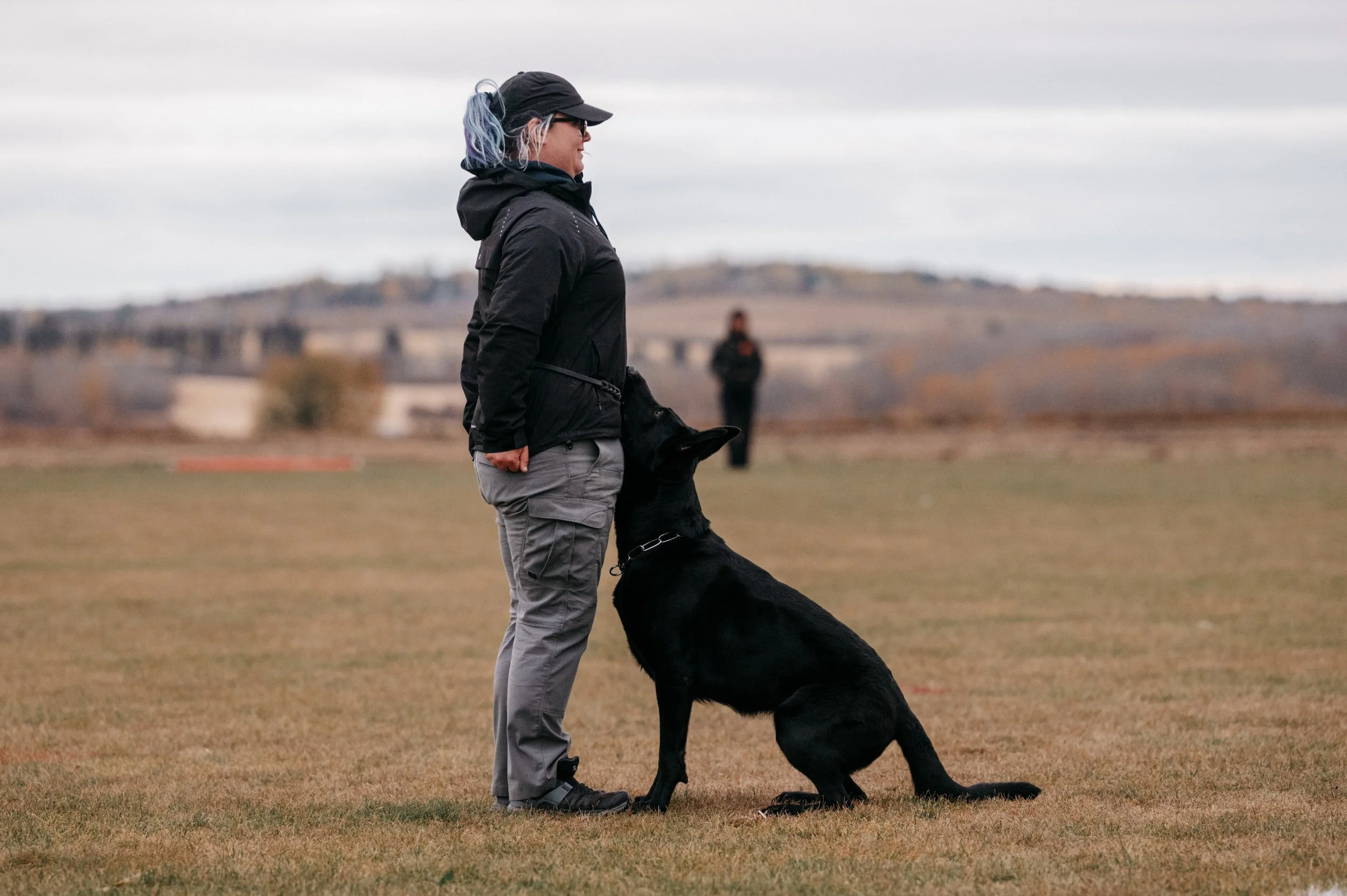 A woman with gray and purple hair, wearing a black cap, sunglasses, black jacket, and gray pants, is training a black German Shepherd dog in an outdoor field. The dog is sitting and looking up at the woman attentively.